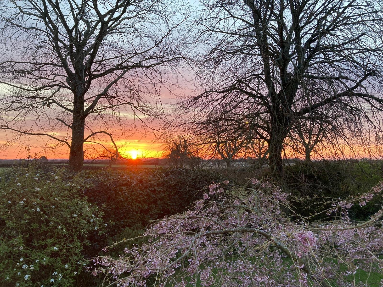 A vibrant spring sunrise over a blooming hawthorn hedge in the Shropshire countryside, symbolizing the opening of the Window of Tolerance in somatic therapy.