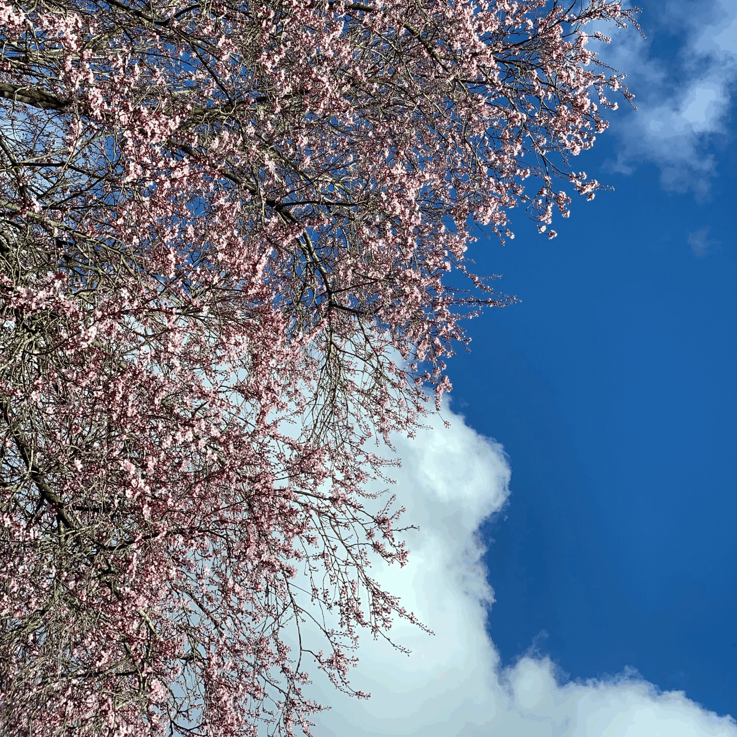 Participants practicing somatic movement at a wellbeing retreat in Shrewsbury at Newton Meadows Garden Rooms.