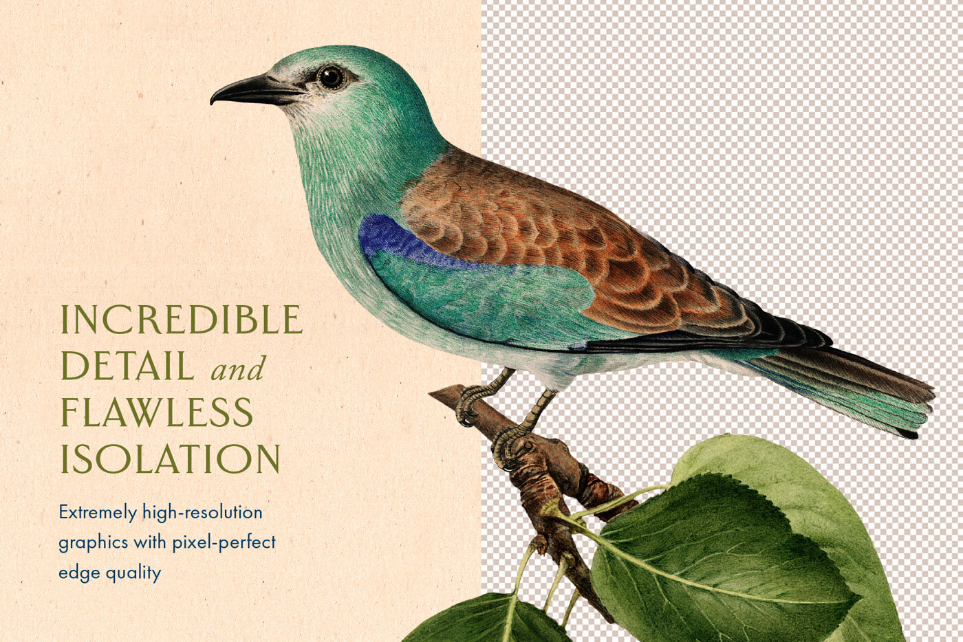 Birds_and_Branches_Vintage_Clipart_07.jpeg