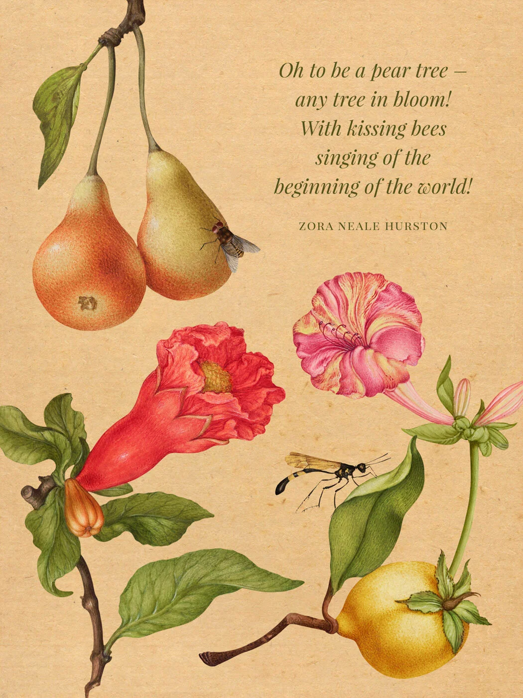 Oh to Be a Pear Tree!