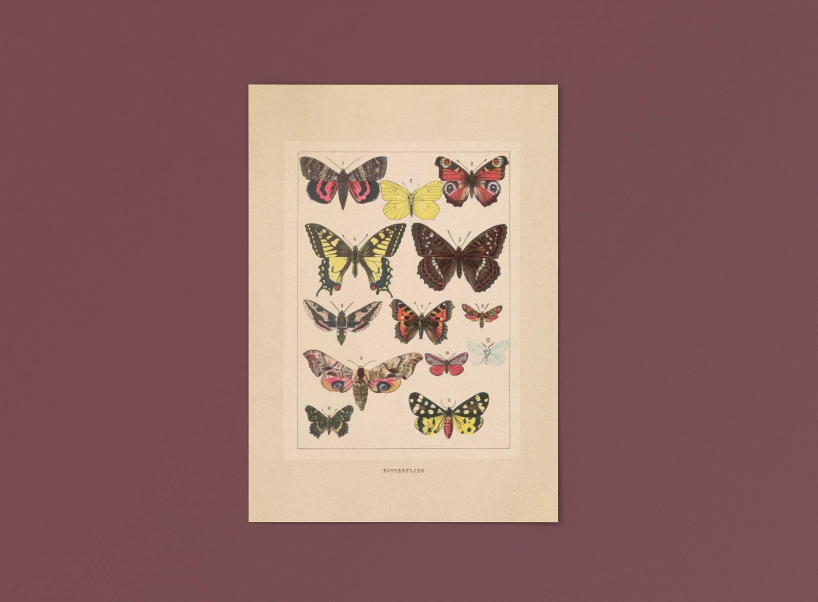 mockup-of-a-poster-lying-against-a-plain-color-backdrop-1242-el (2).jpeg