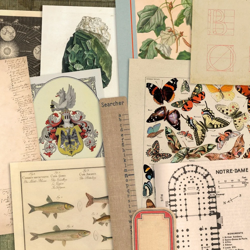 Explore Dark Academia