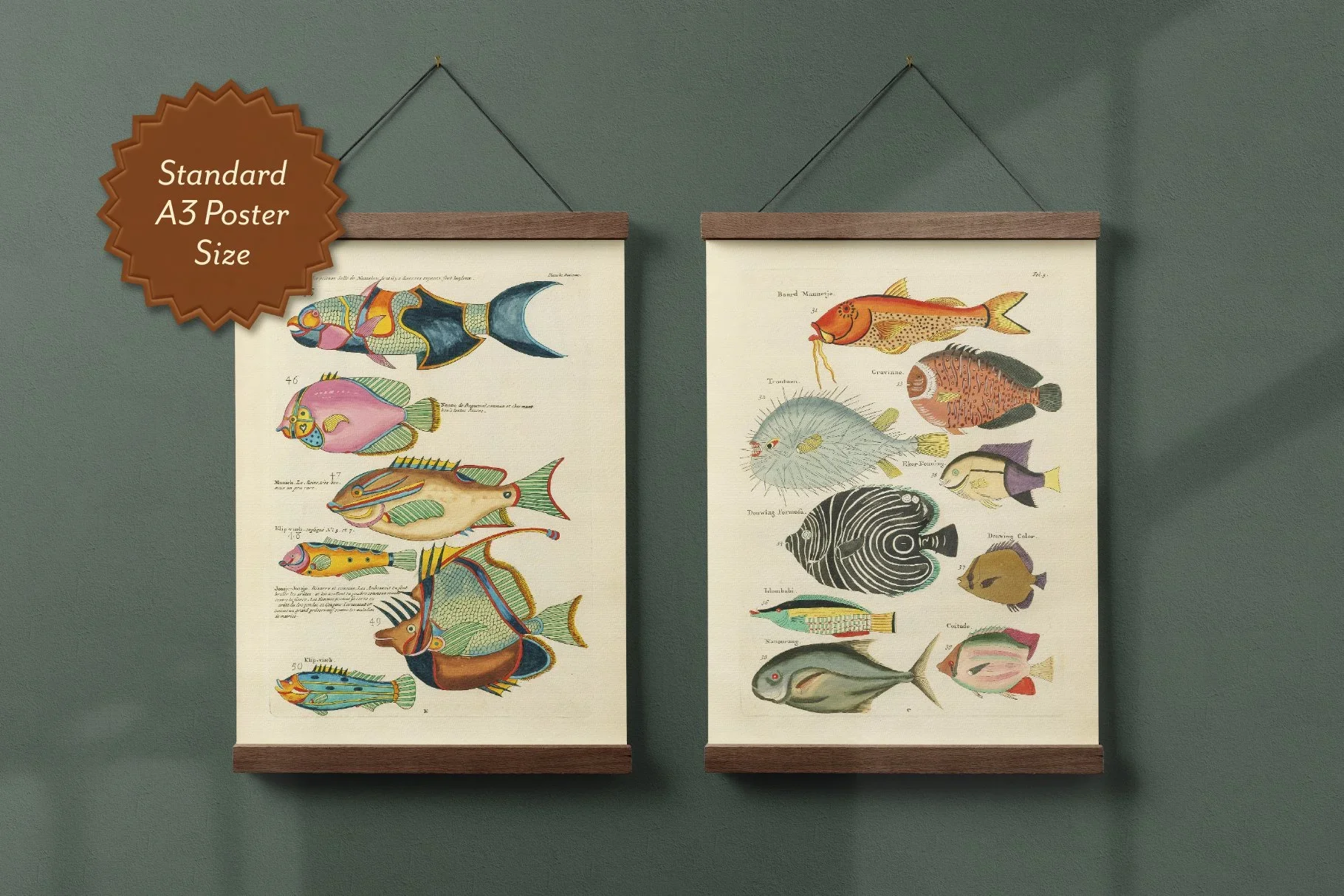 Fantastical+Fish+Vintage+Prints+06.webp