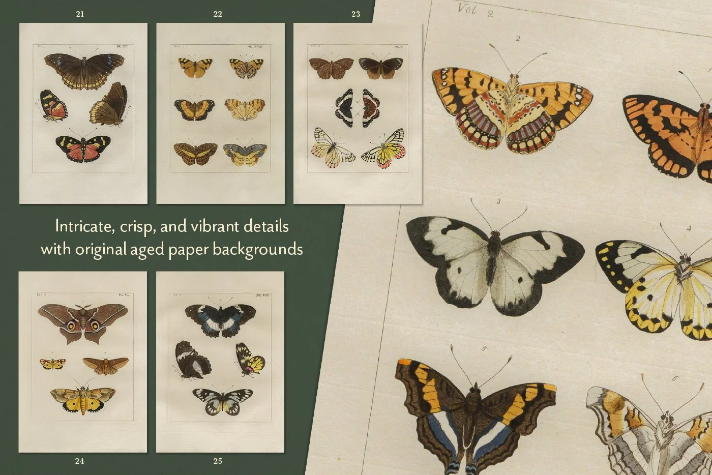 Vintage Butterfly Printable Wall Art 05.jpg