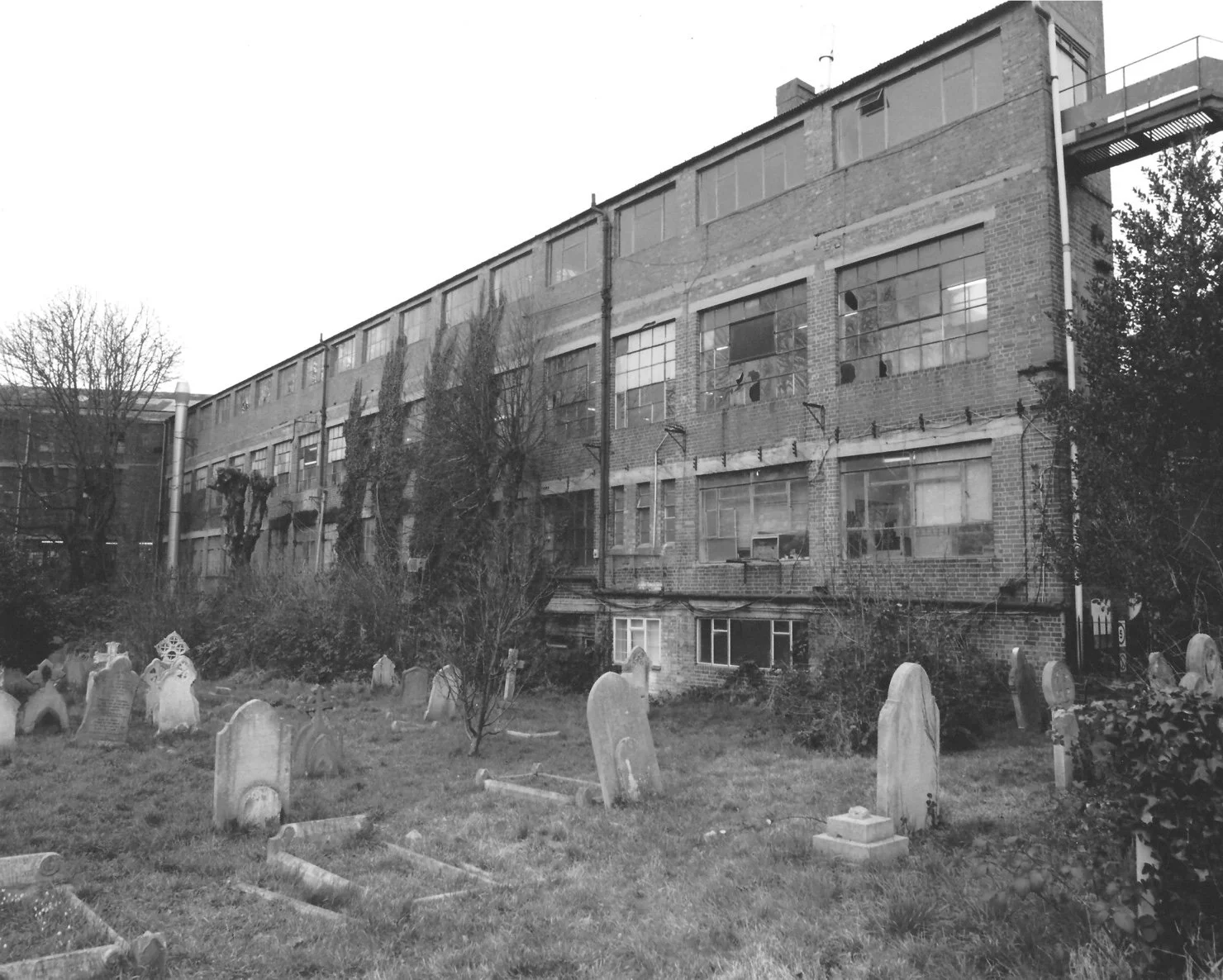 Graveyard factory rear