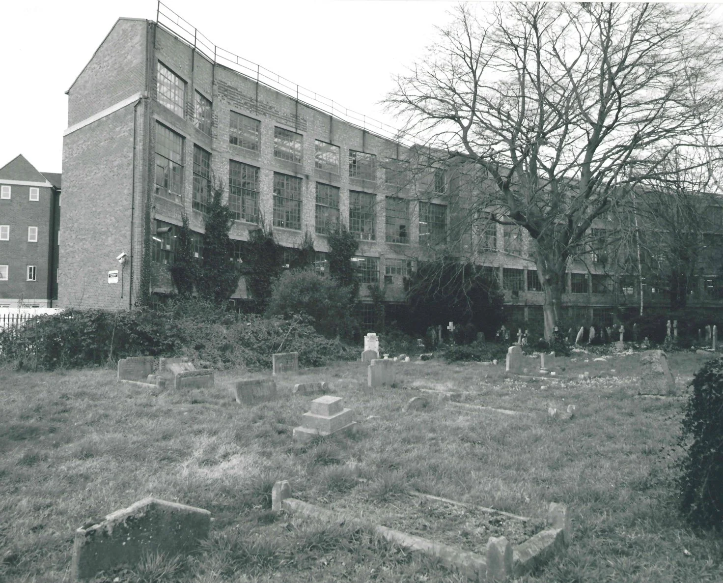 Graveyard factory rear 2