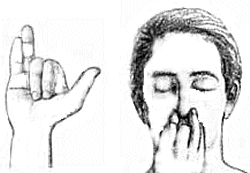 Mrigi Mudra