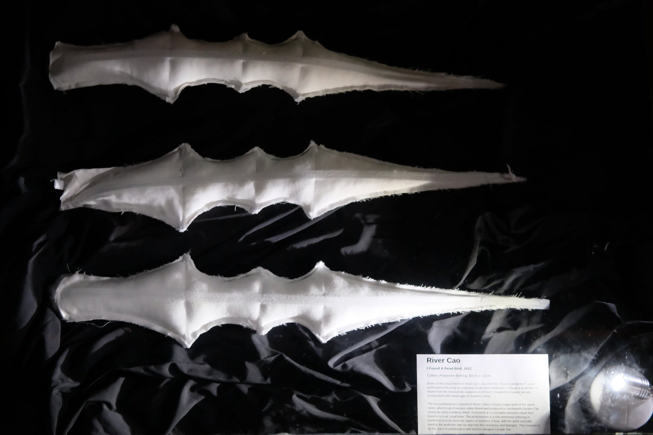 DSCF2577.jpg