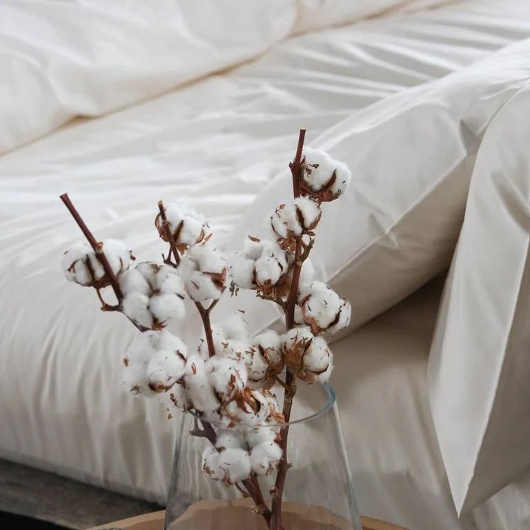 egyptian-cotton-sheets copy.jpg