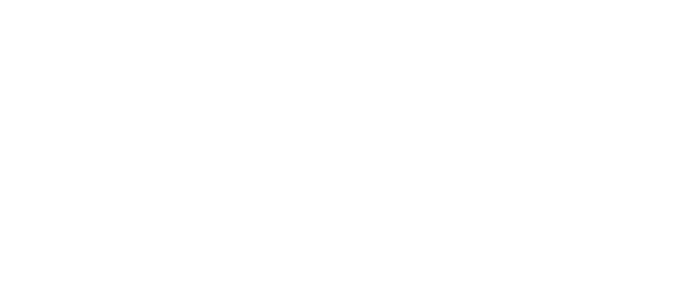 Vision Icon