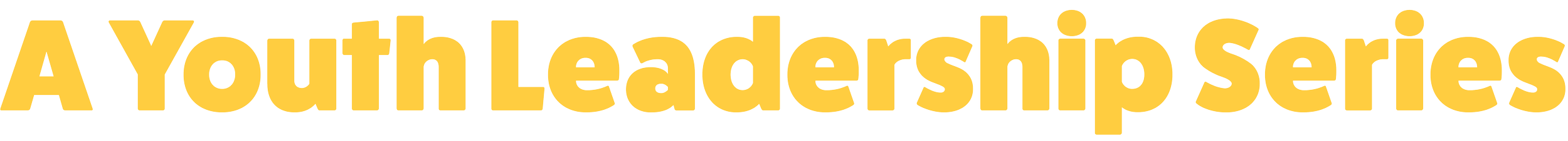 A Youth Leadership Series