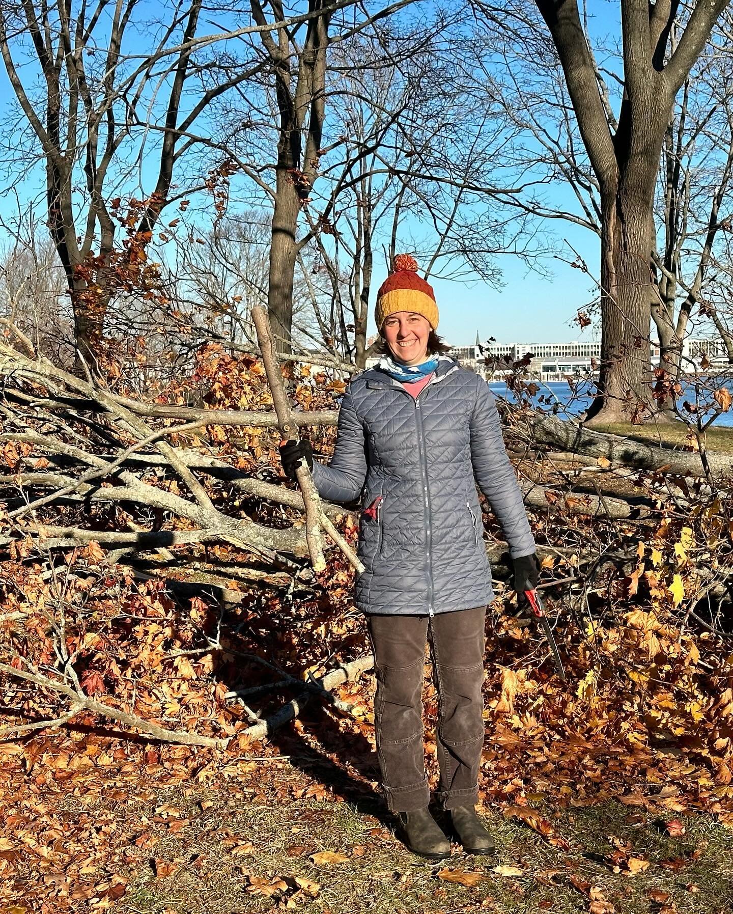 When life hands you maple, you head out there with your Silky saw and freeze your butt off to collect that maple. Lots of side eyes from folks walking their dogs this morning and I&rsquo;m never quite sure whether explaining that I&rsquo;m a broom ma