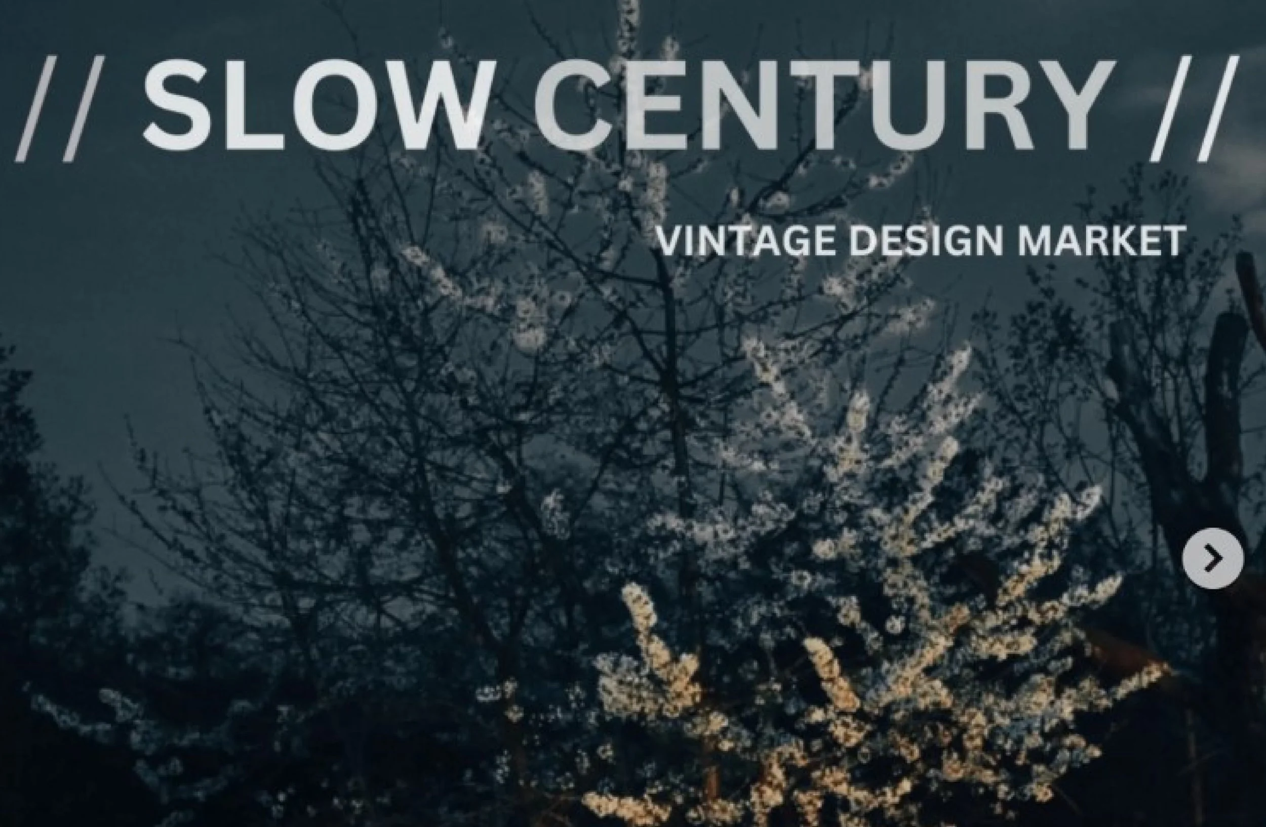 Slow Century - Vintage Design Market