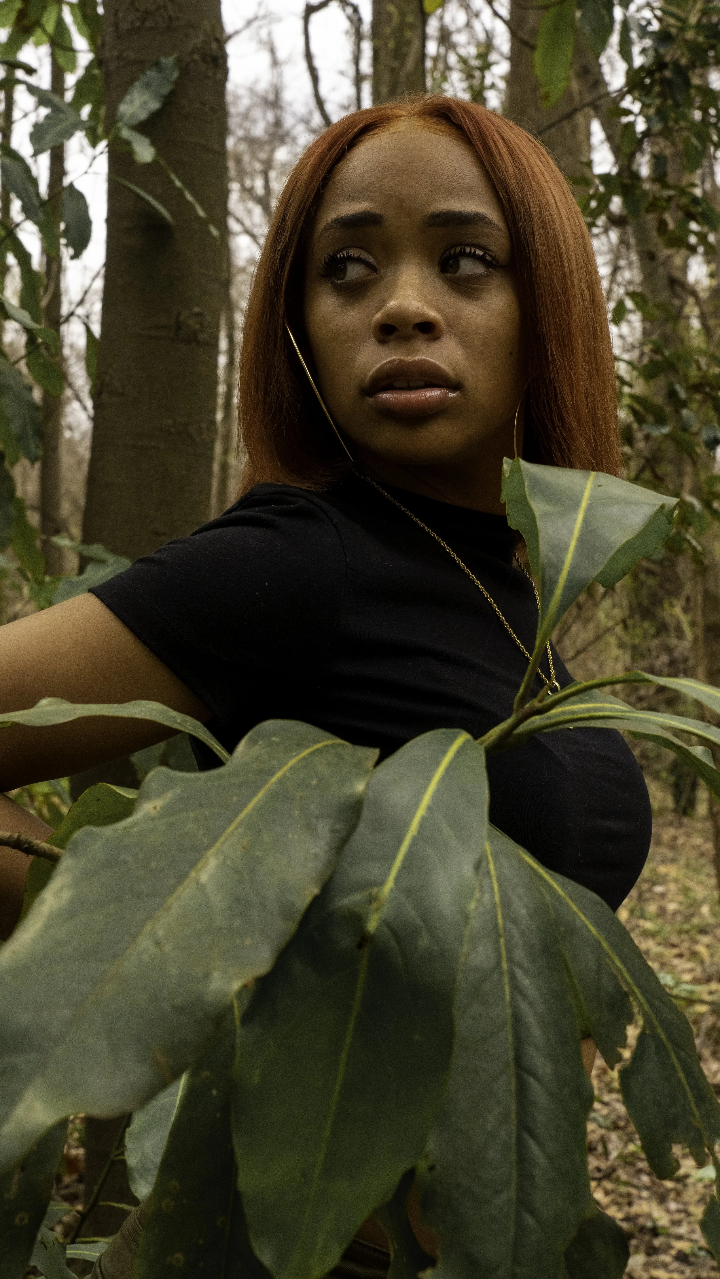 DSC01647-Edit.jpg