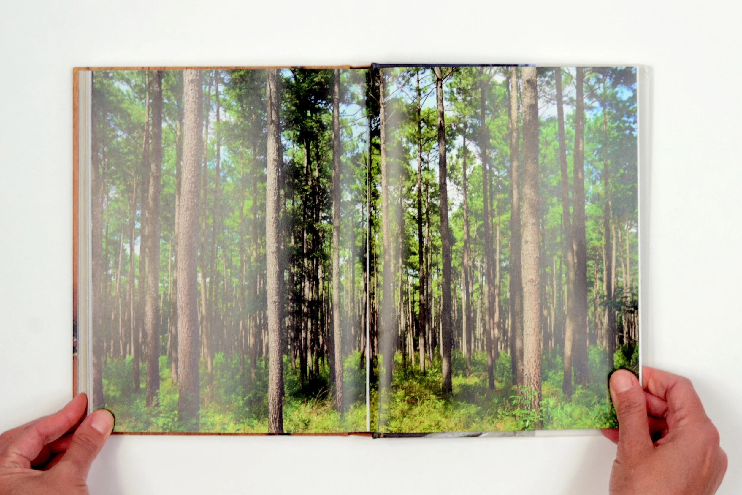 ReclaimedWood_026.jpg