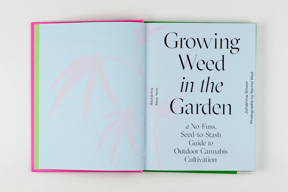 dandelion_growingweed_02.png