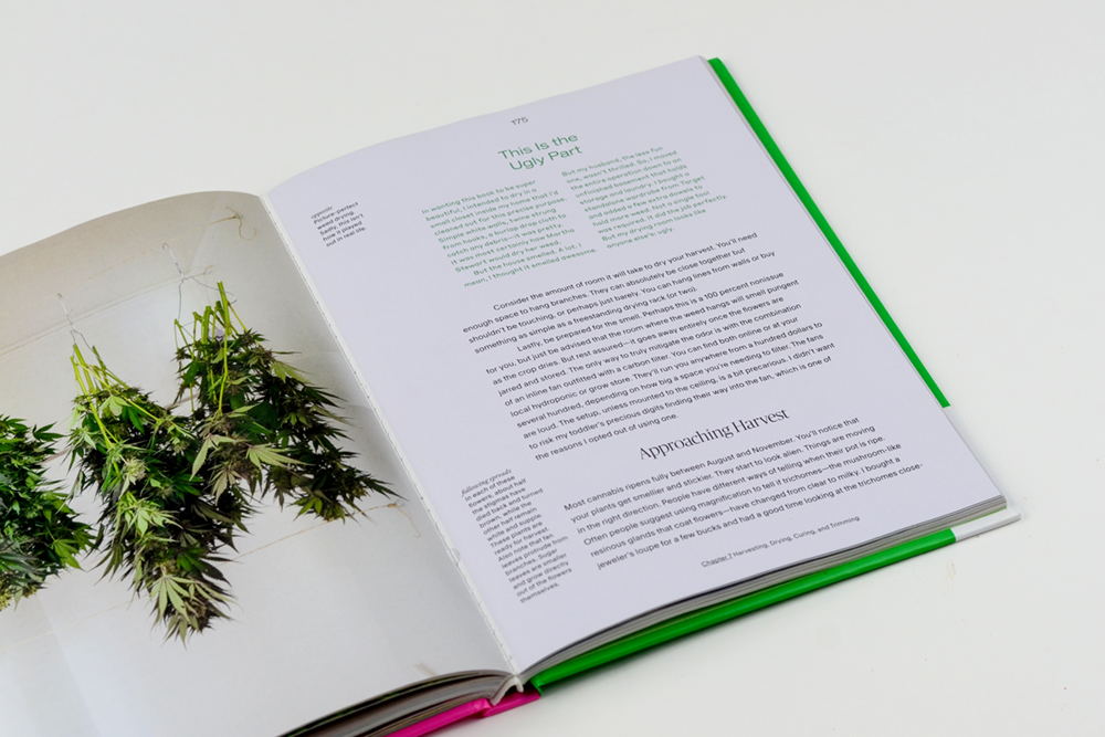 dandelion_growingweed_028.png