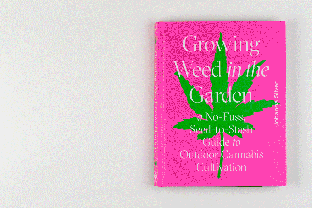 dandelion_growingweed.gif