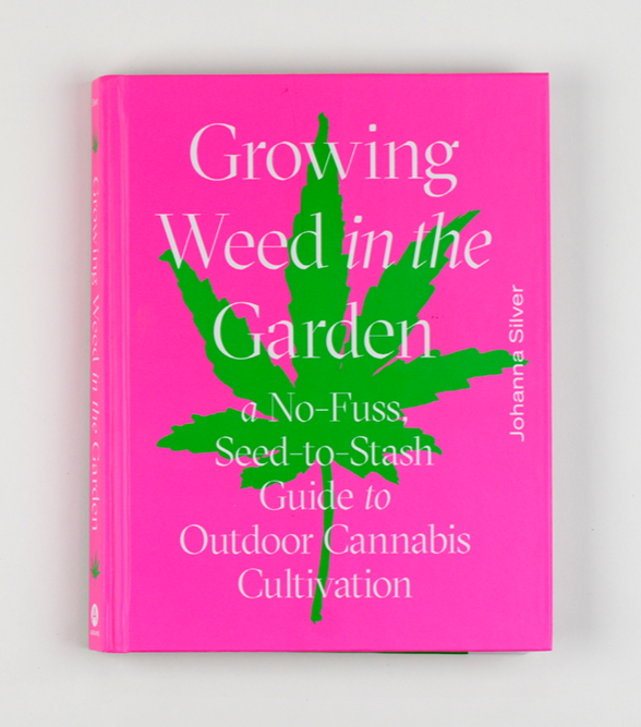 dandelion_growingweed_01.png