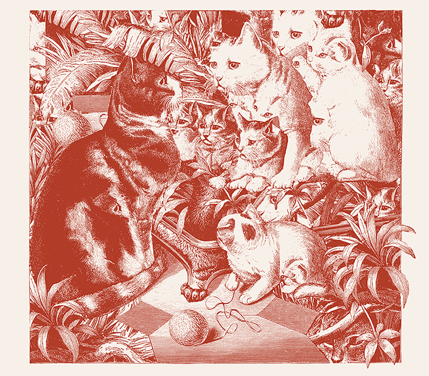 dandelion-catnip-illo-3.png