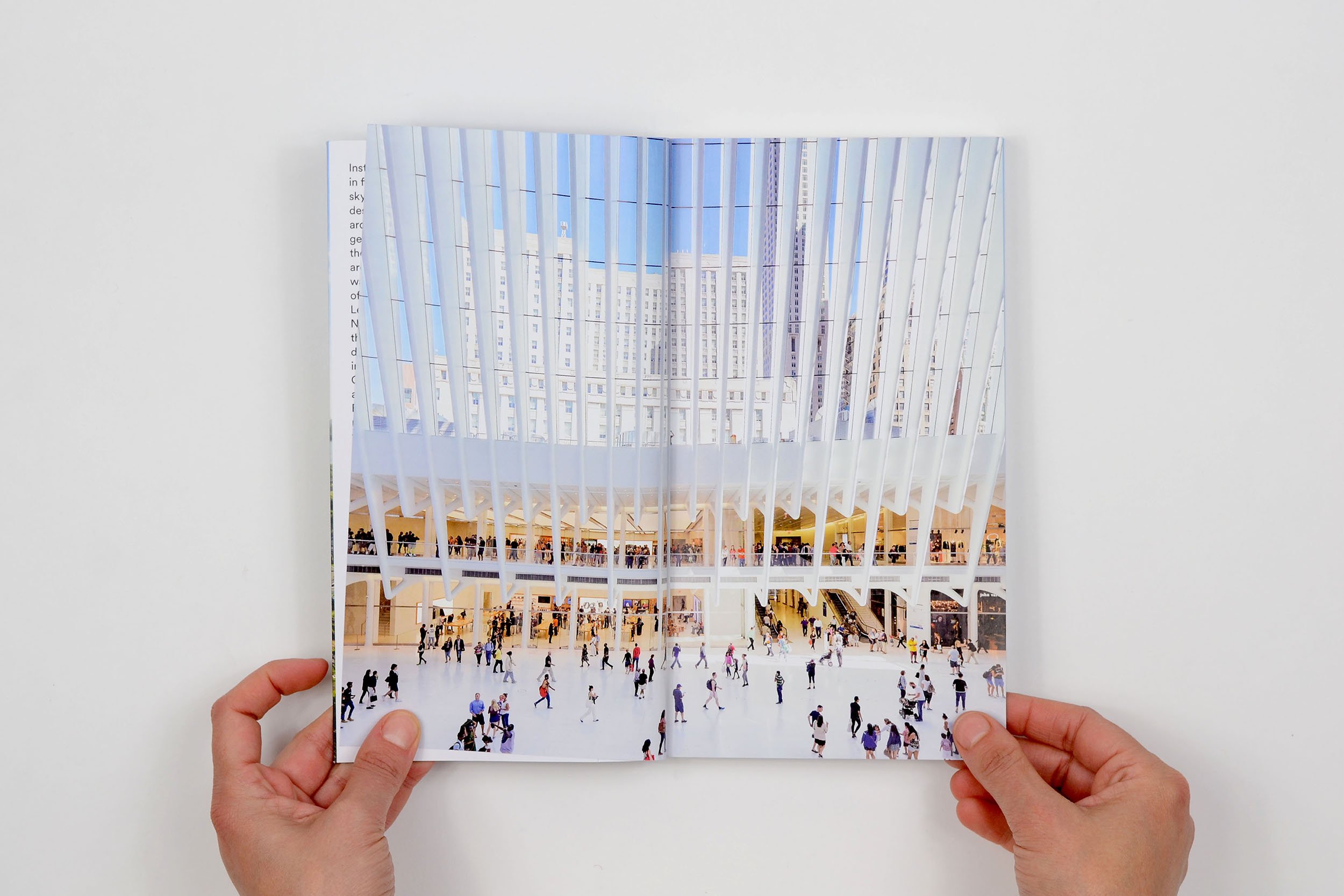 ahlandco_nycwalks_05.jpg