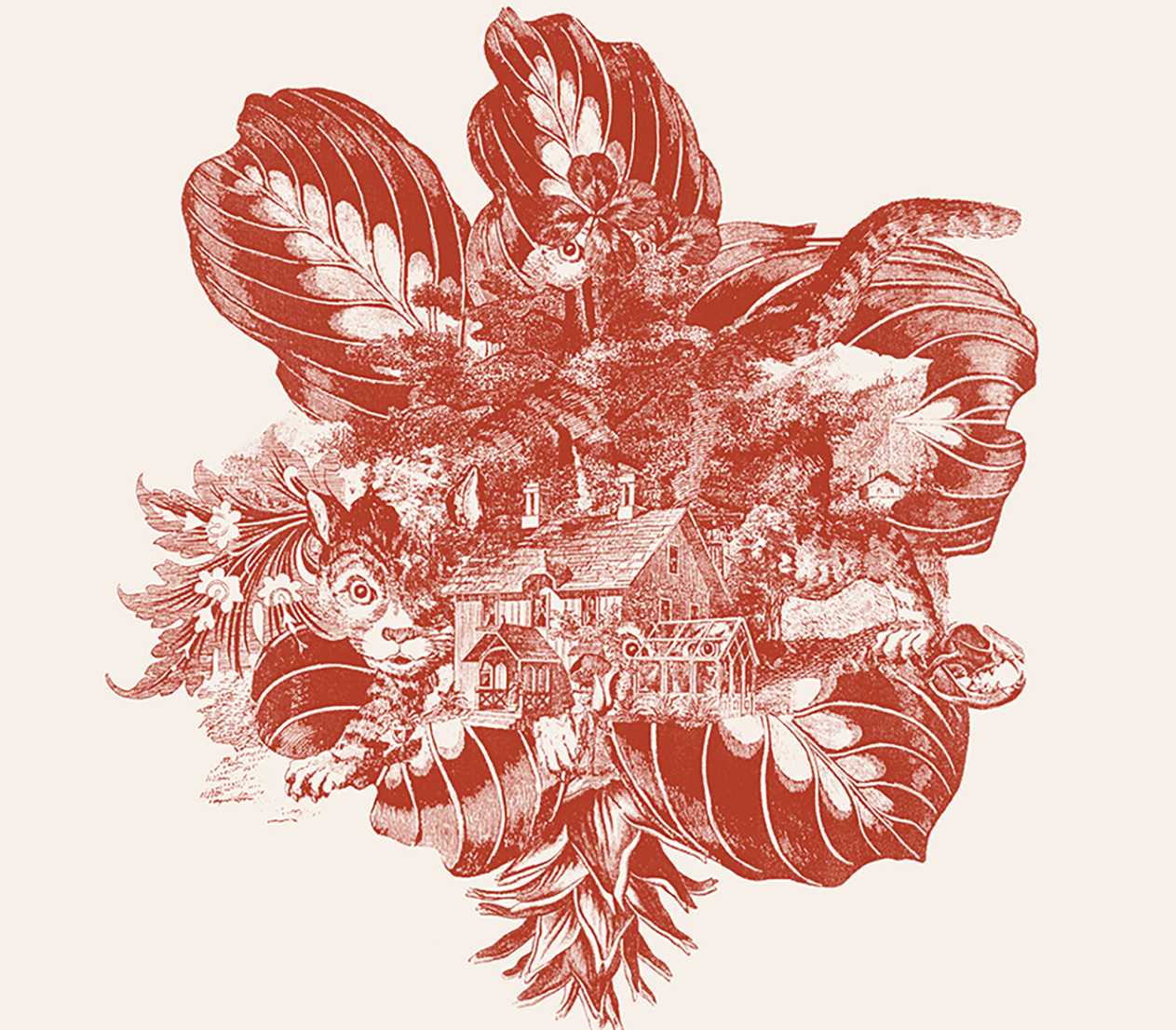 dandelion-catnip-illo-2.png