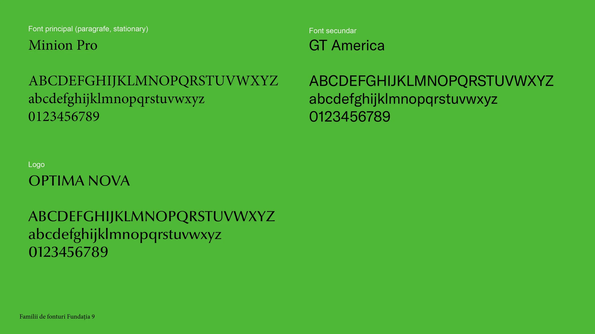 Scena 9_rebranding_website update-20.jpg