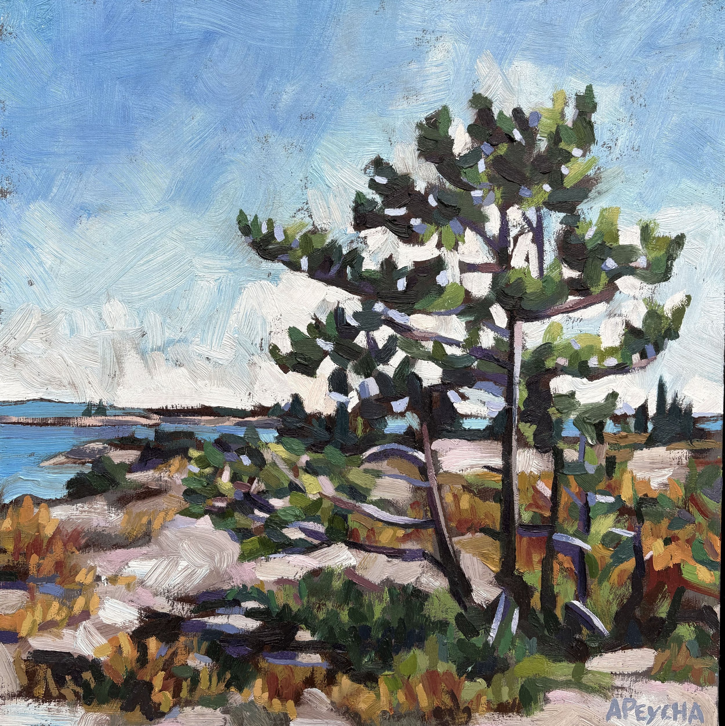 Dart Island Pine
Oil on Canvas
$1350.00