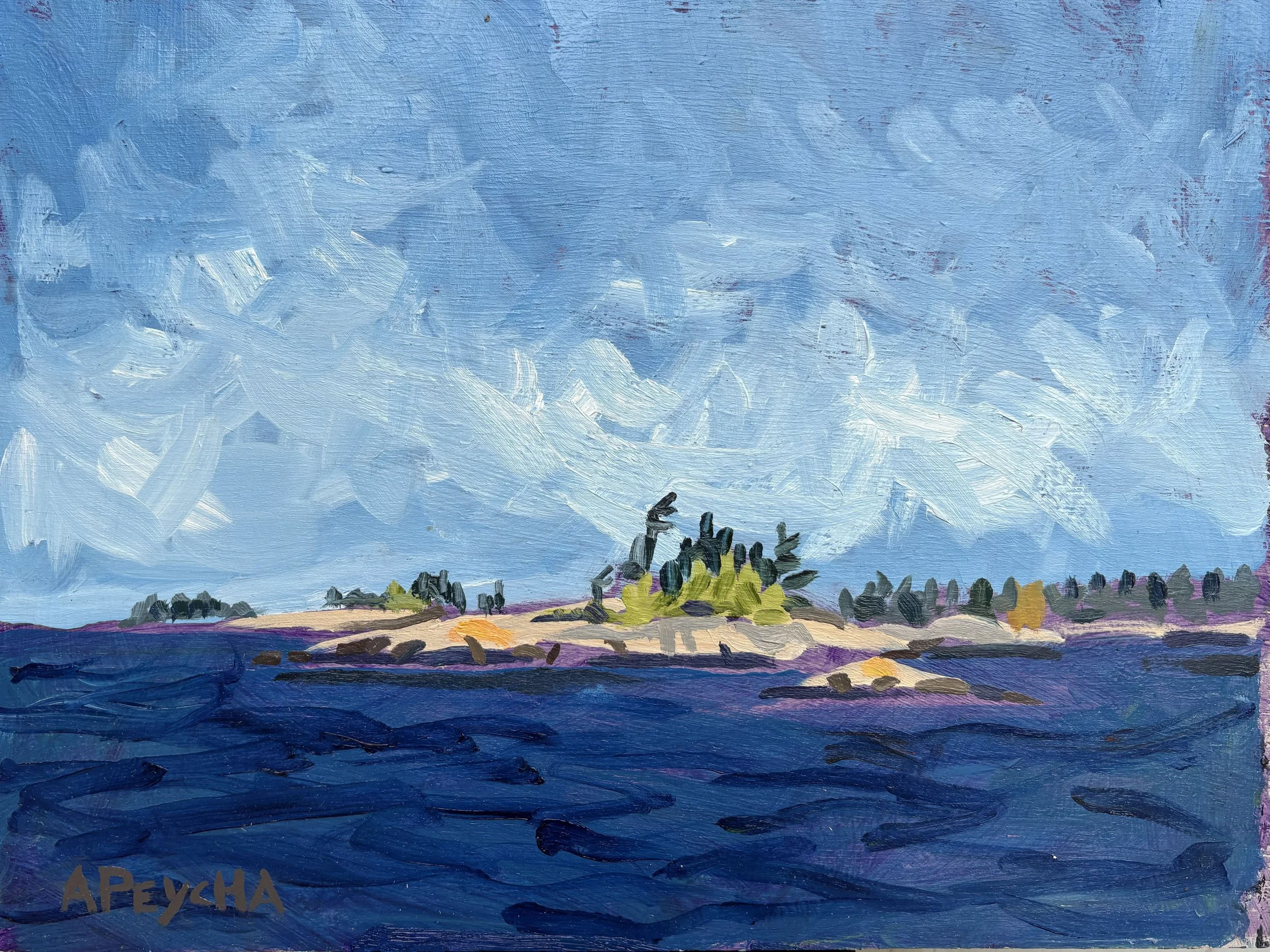 Gunn Island Channel
Oil on Board
9"x12"
$650.00