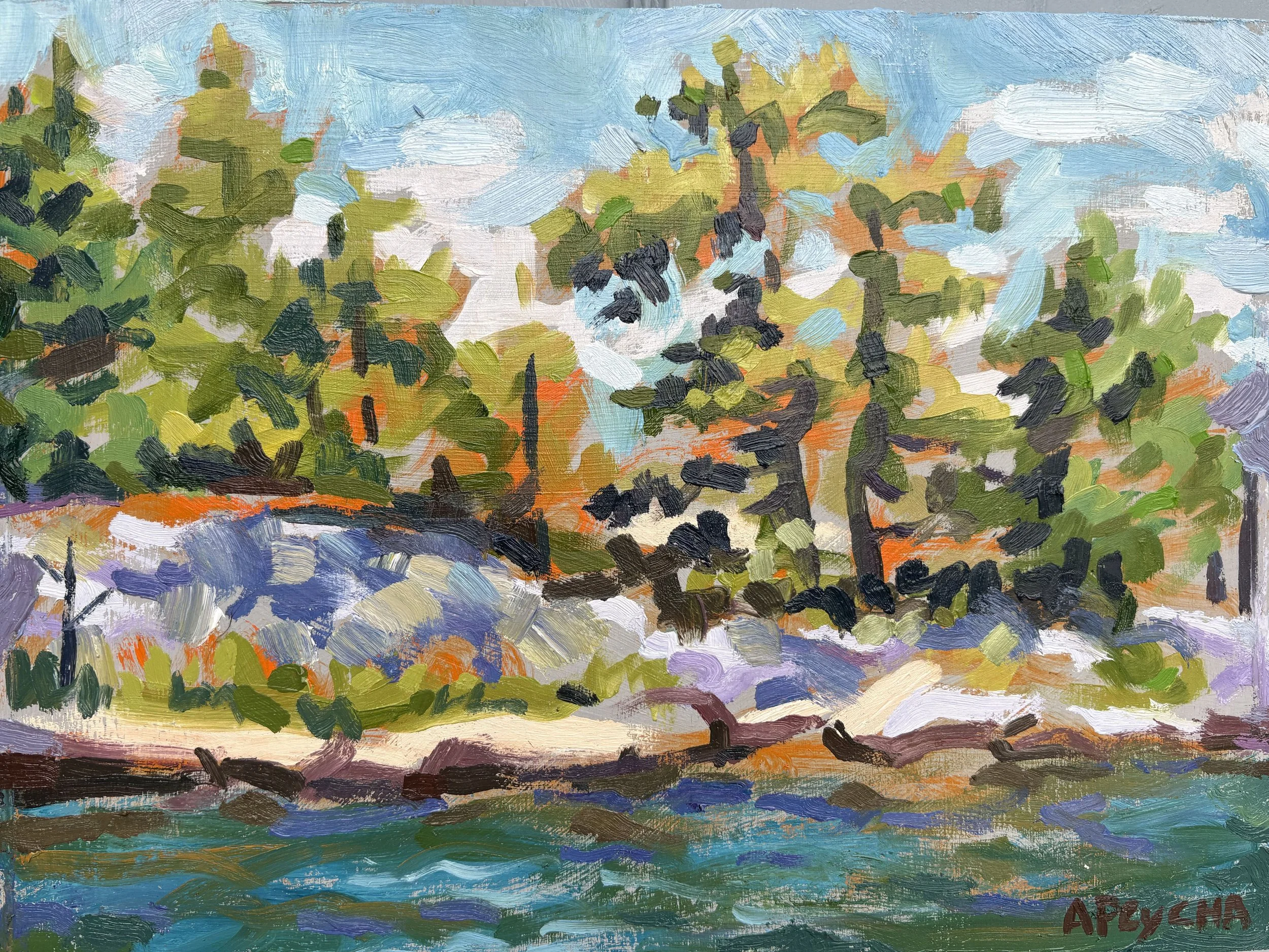 Green Dancing with Orange
Oil on Board
9"x12"
$650.00