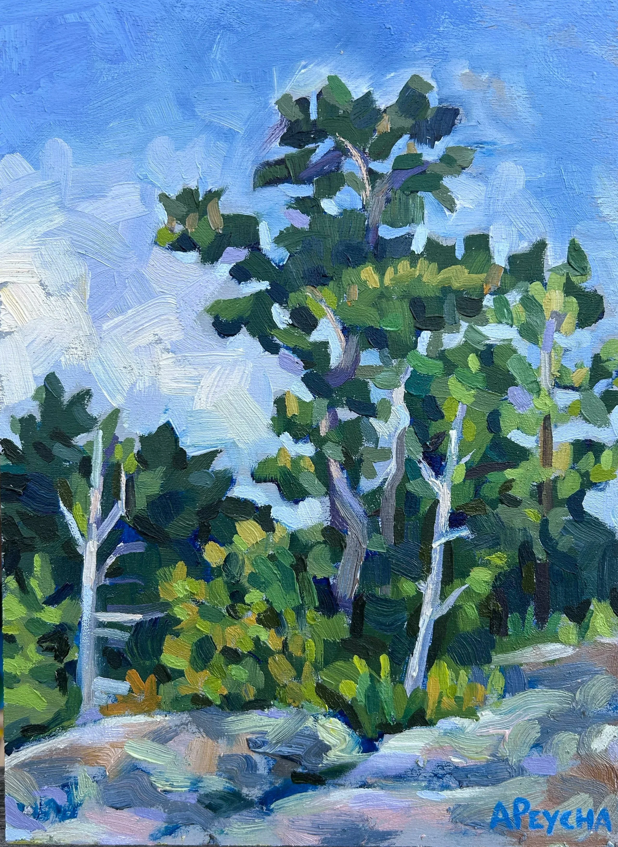Gaspar Island Pines, Oil on Board, 9x12, Framed $650.00