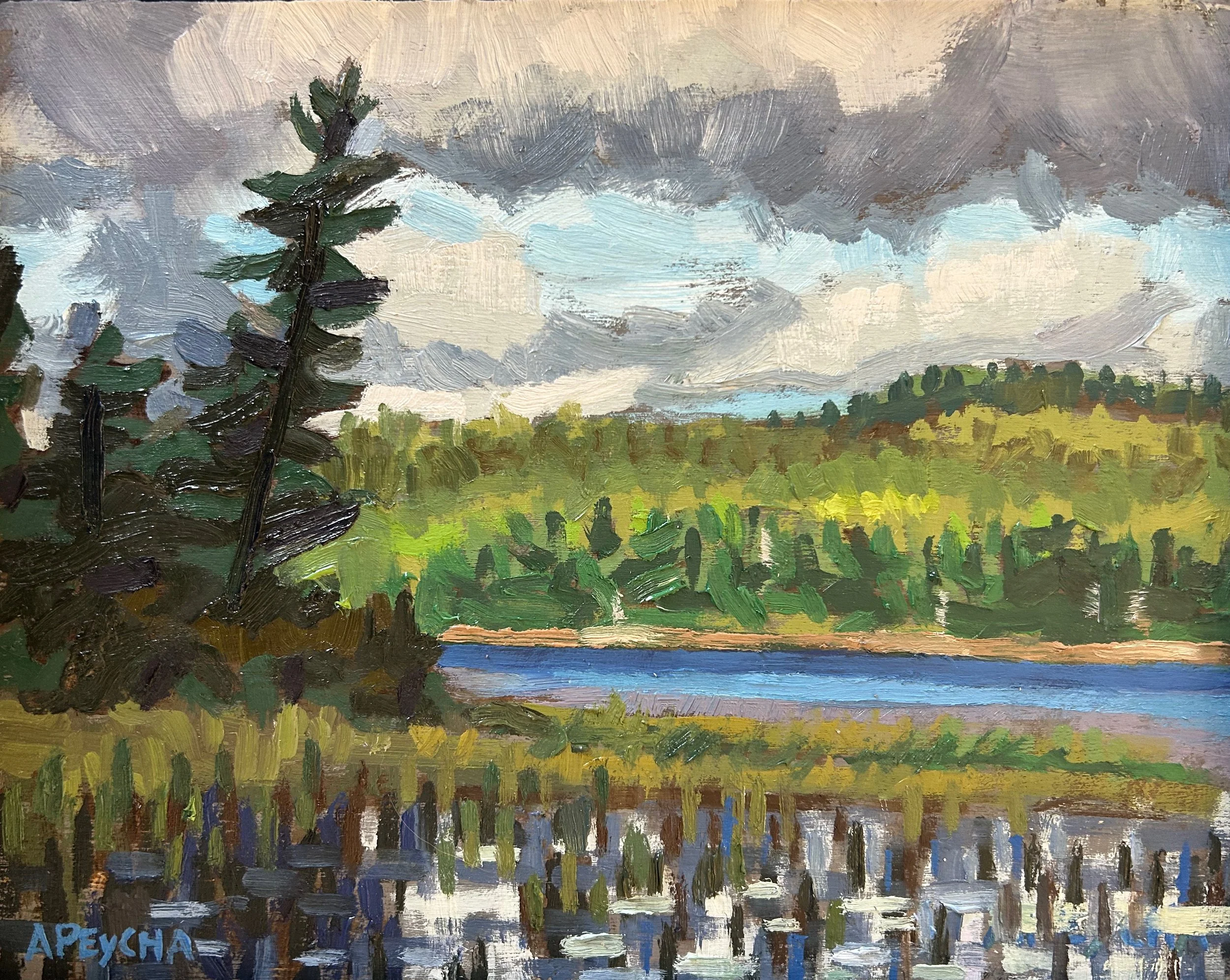 Temagami Afternoon, Oil on Board, 8x10, Framed $565.00