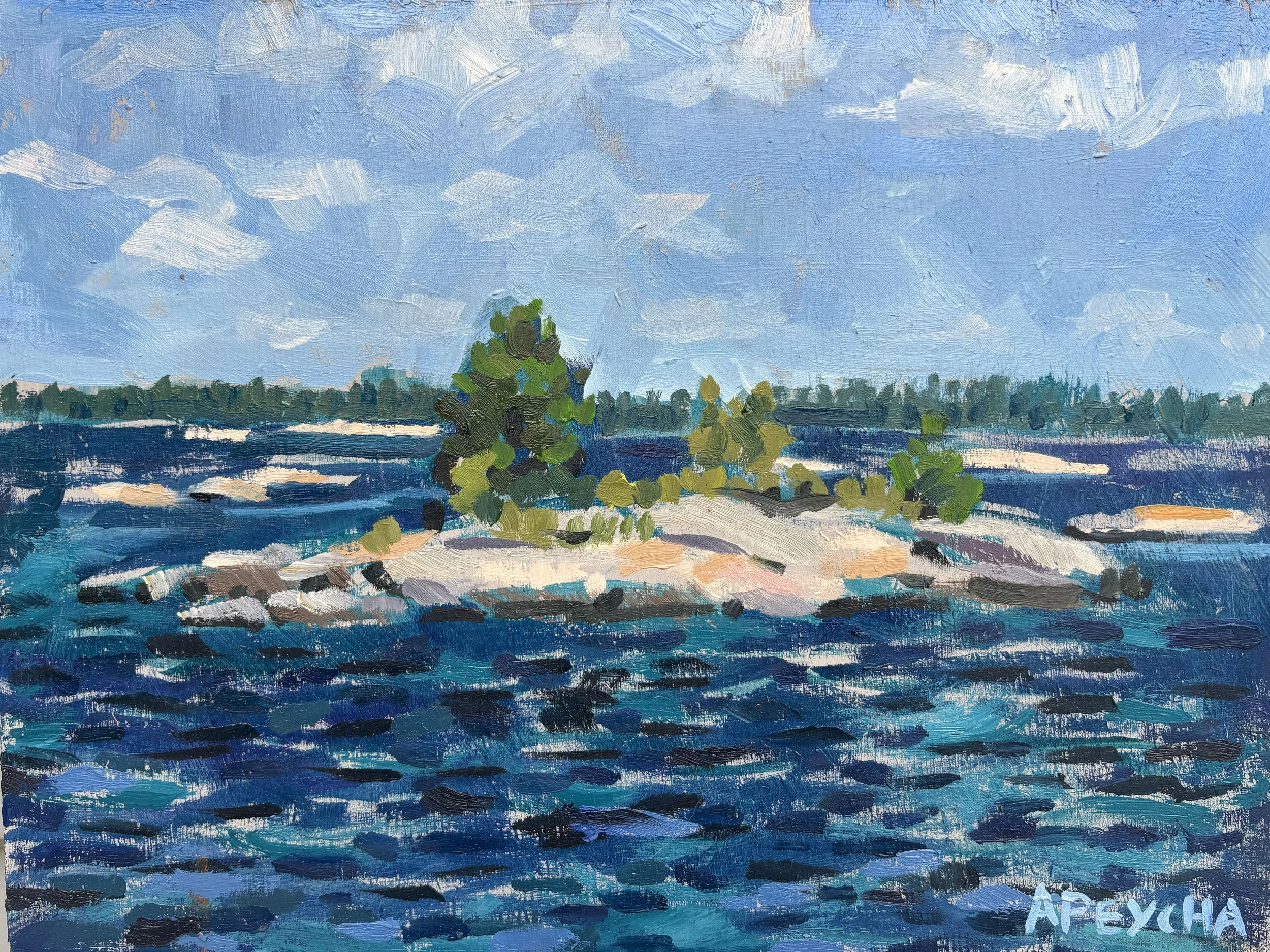 Raper Island Shoals
Oil on Board
9"x12"
$650.00