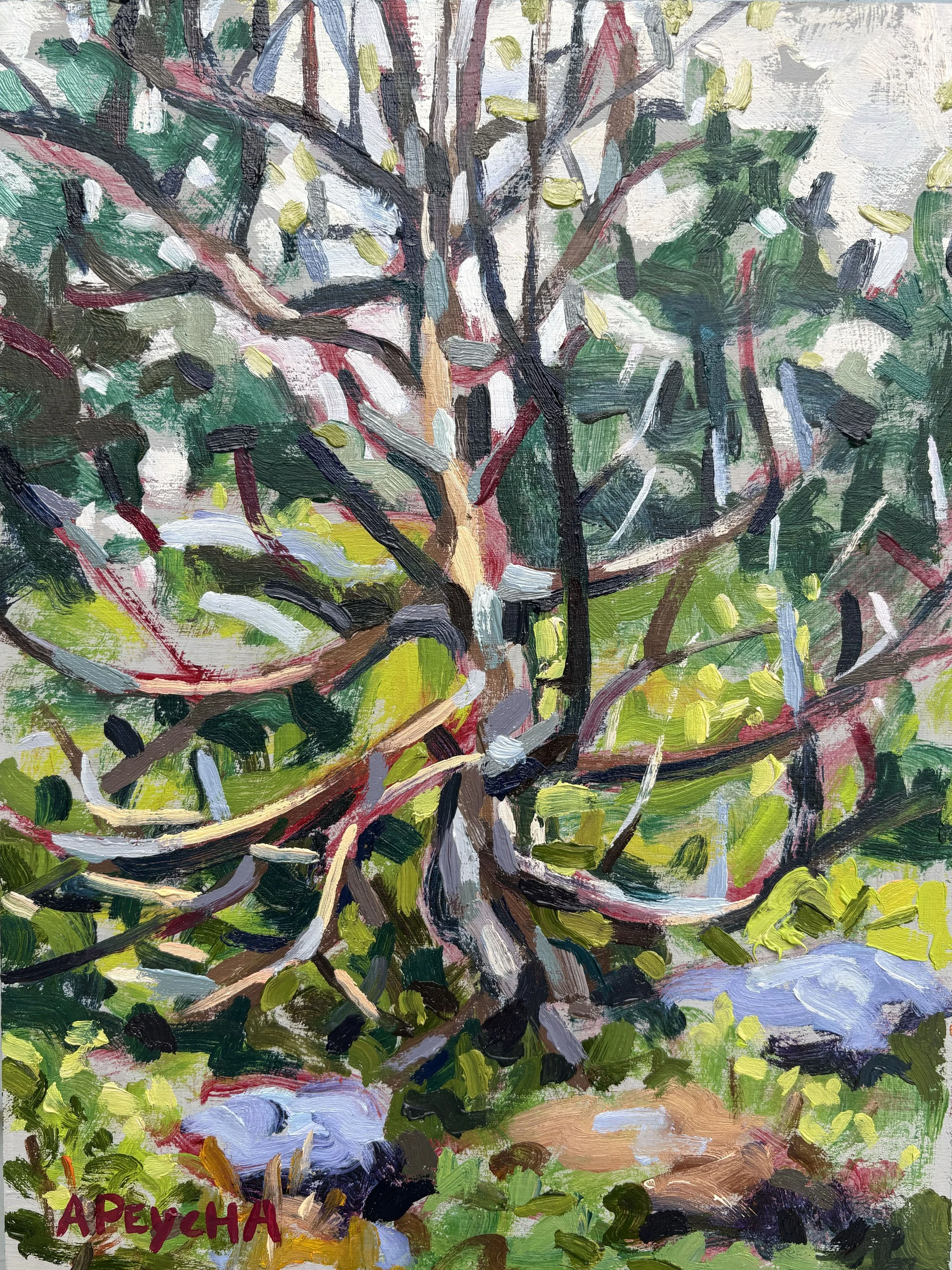 Oracle Pine
Oil on Board
12"x9"
$650.00