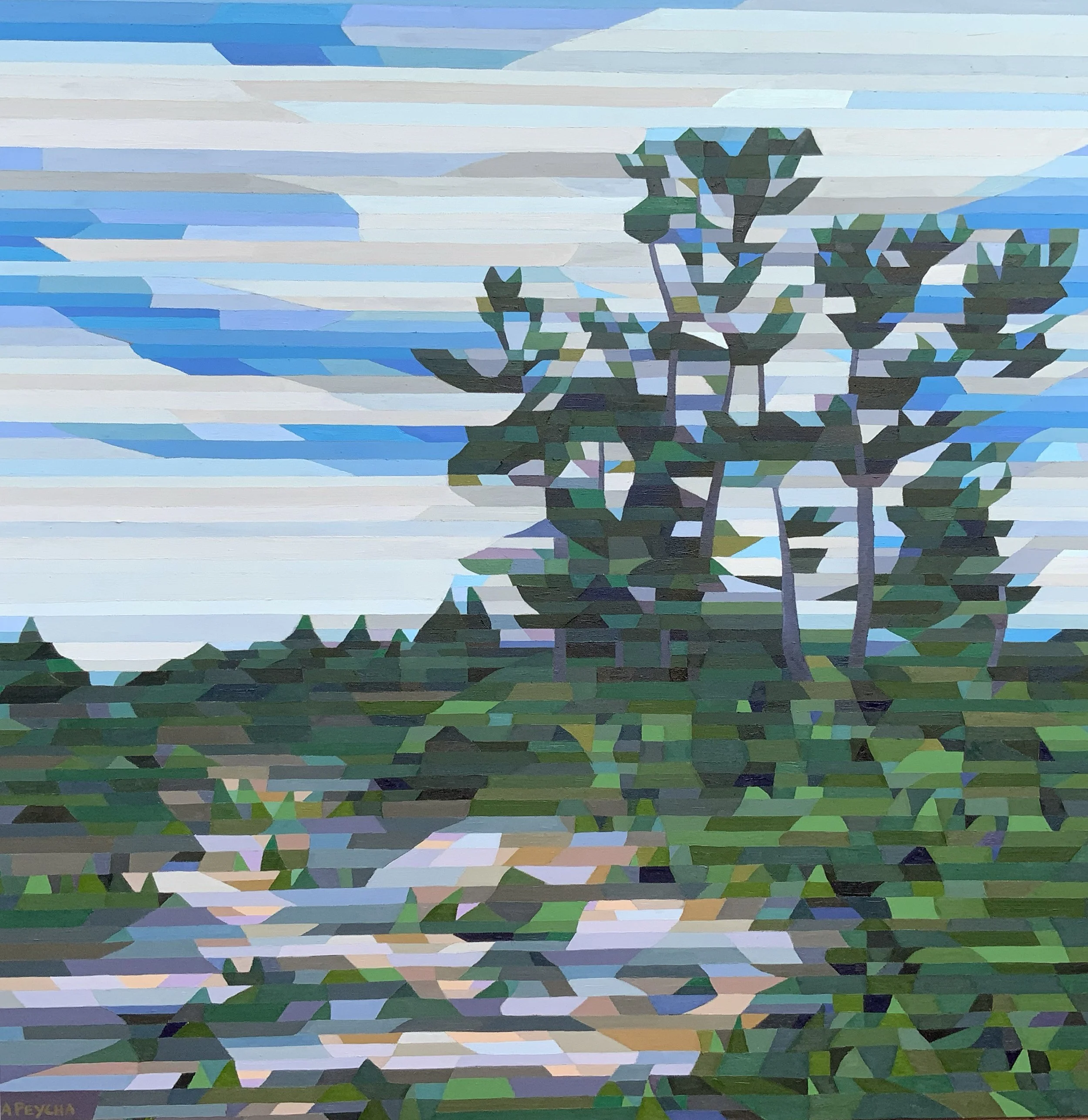 Big McCoy Pines, Oil on Canvas, 48x48 🔴
