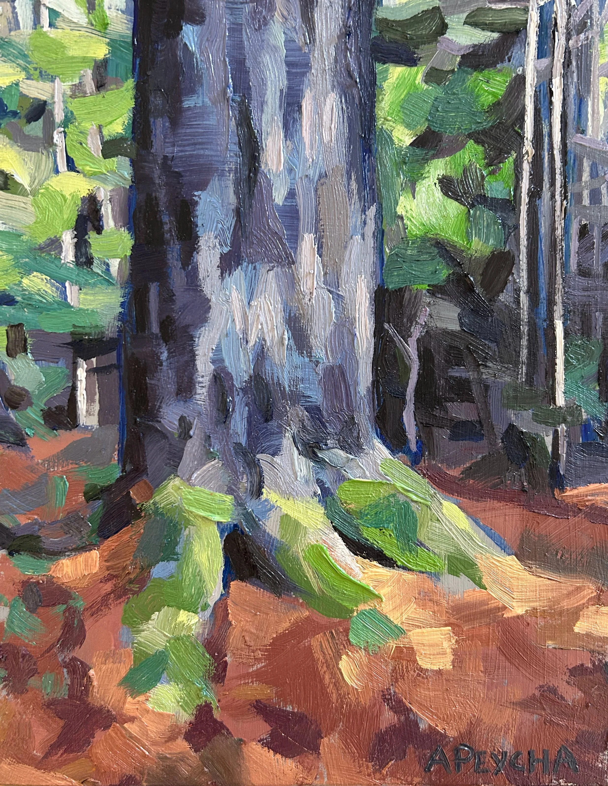 Temagami Forest, Oil on Board, 10x8, Framed $565.00