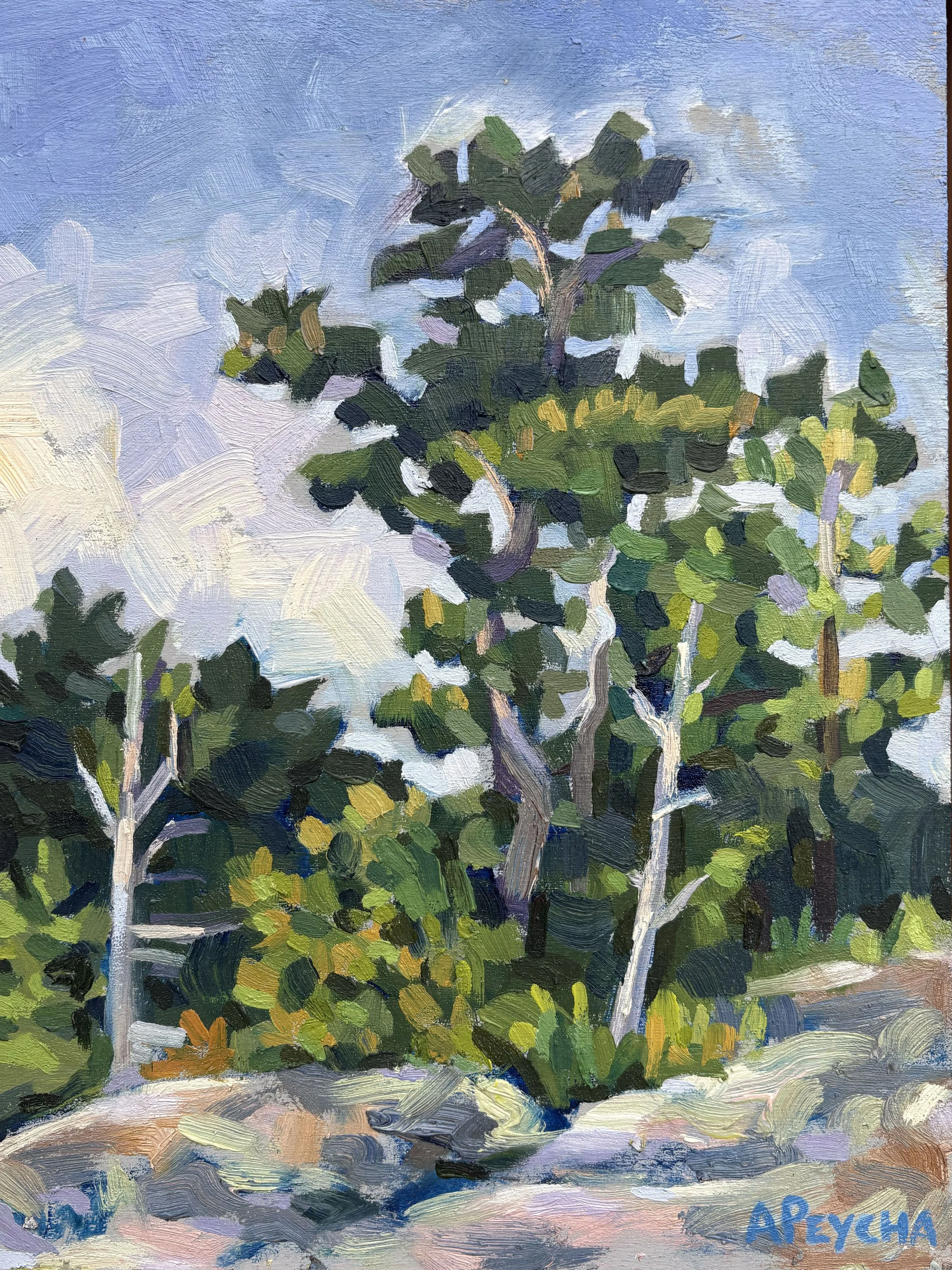 Gaspar Island Afternoon
Oil on Board
12"x9"
$650.00
