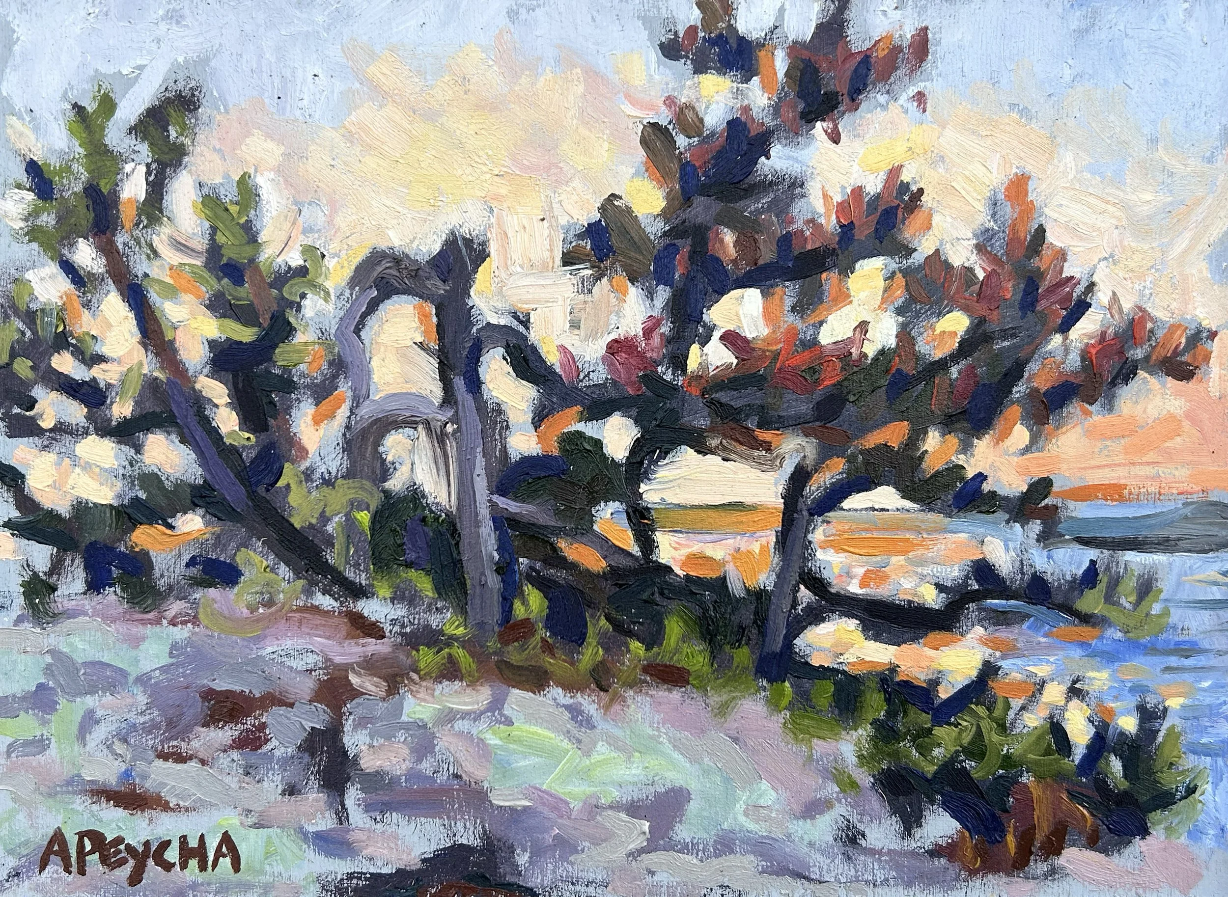 Sunset Green Island, Oil on Board, 9x12, Framed $650.00