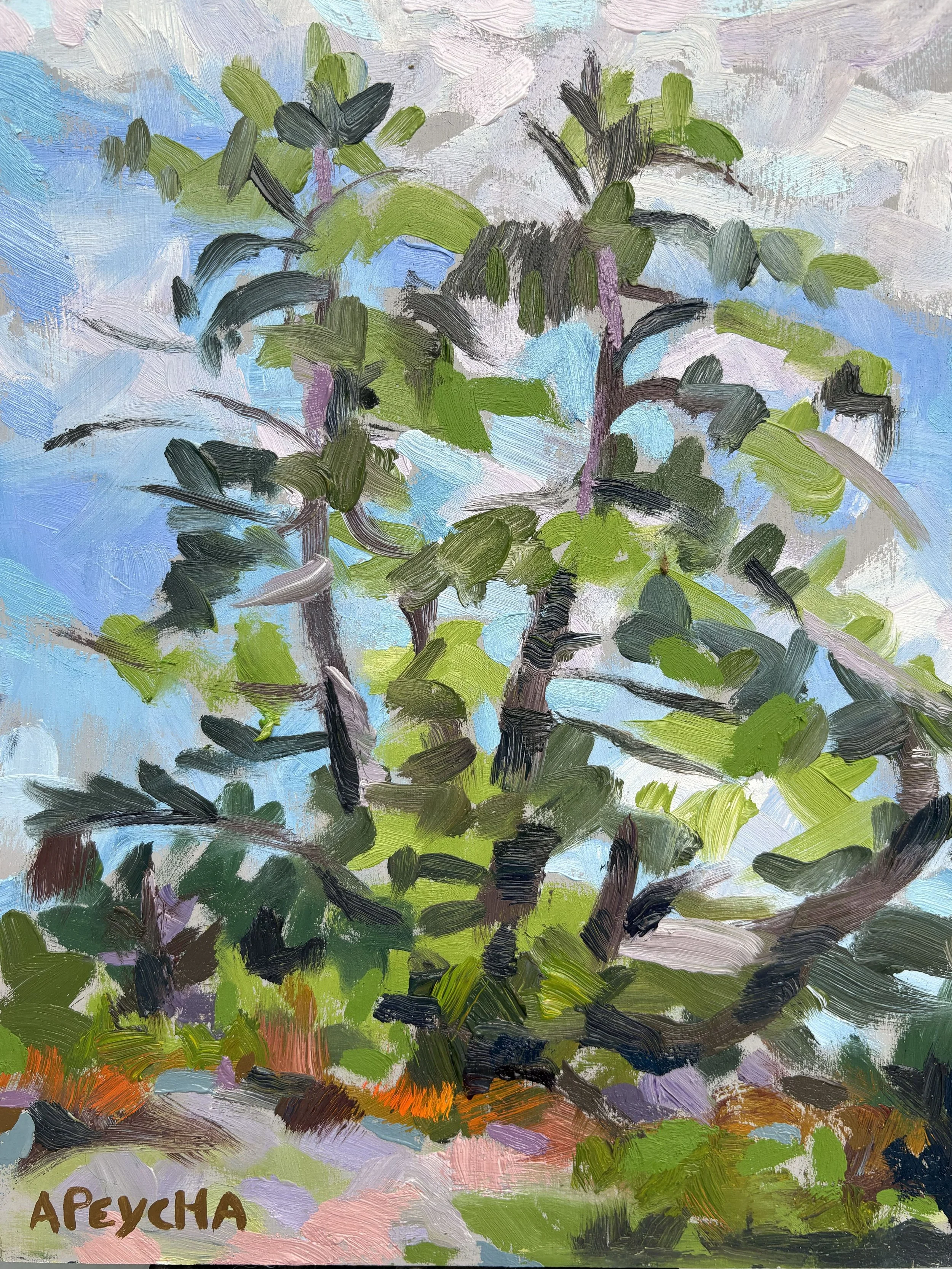 Green with a Shade of Pink
Oil on Board
12"x9"
$650.00