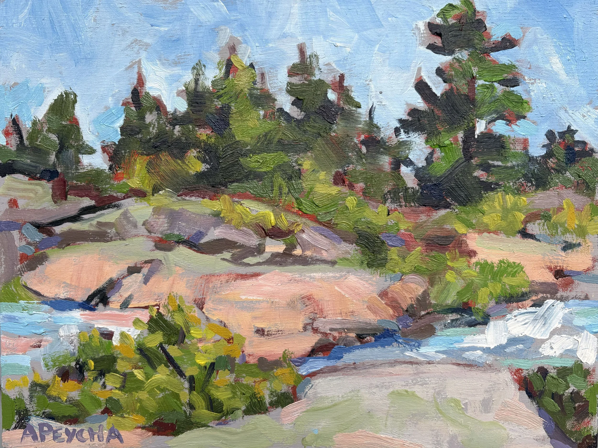 Snake Island Shores
Oil on Board
9"x12"
$650.00