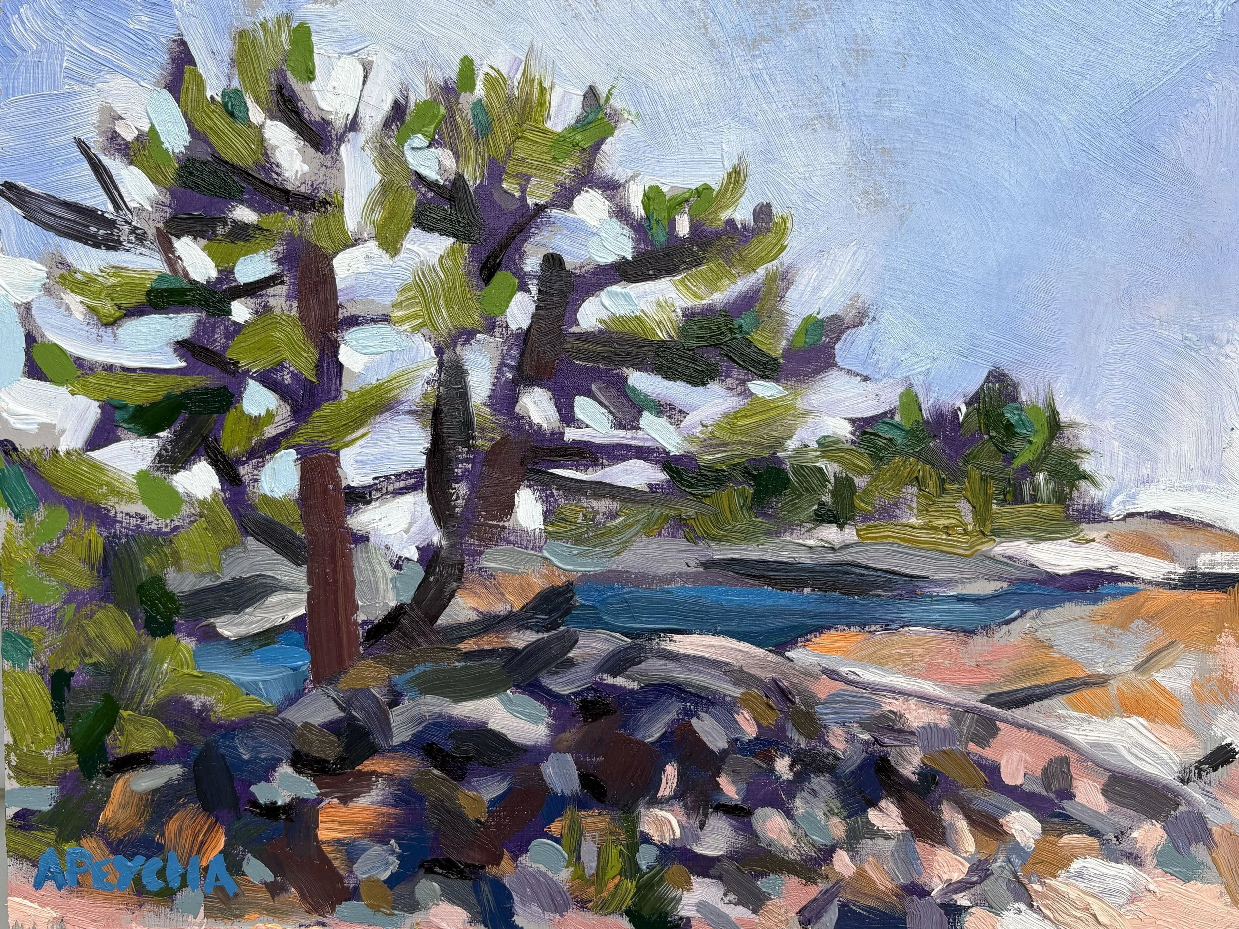 Habour Island Afternoon Pine
Oil on Board
9"x12"
$650.00