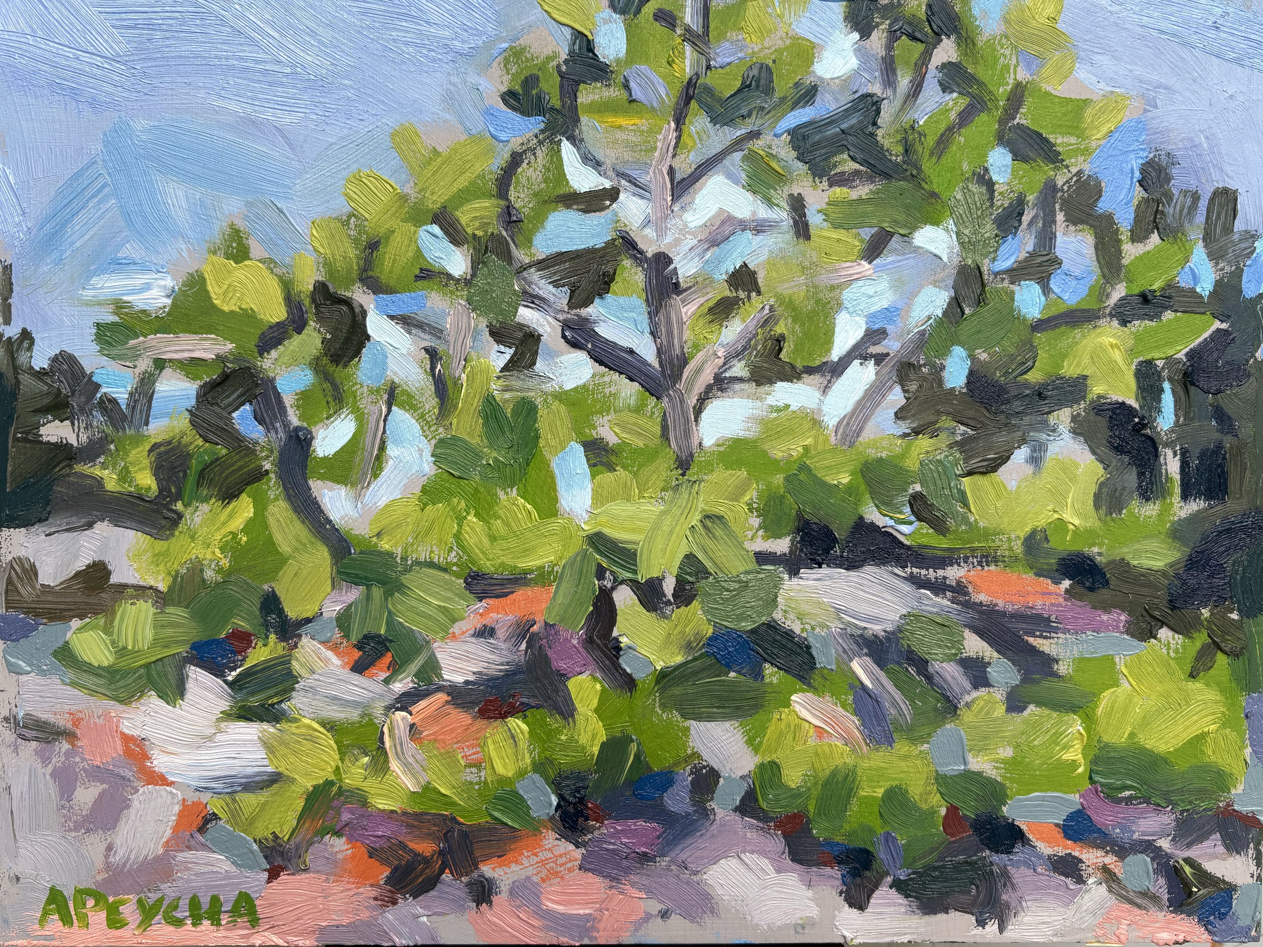 Afternoon Gnarly Pine
Oil on Board
9"x12"
$650.00