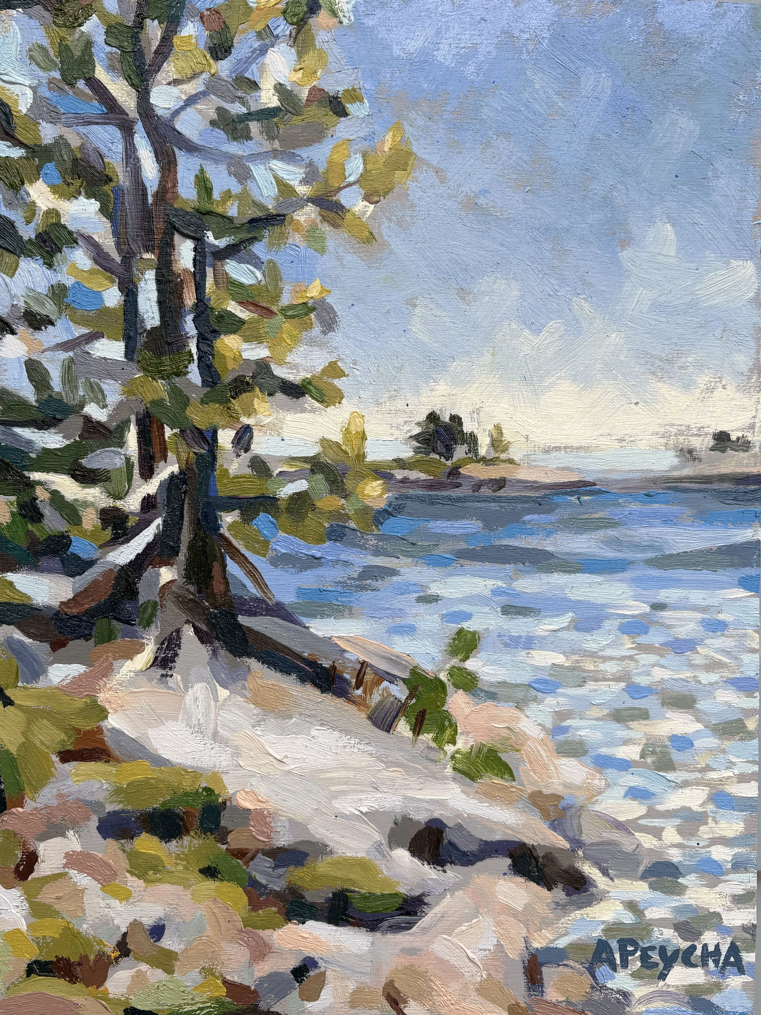 South Point Franklin Island
Oil on Board
12"x9"
$650.00
