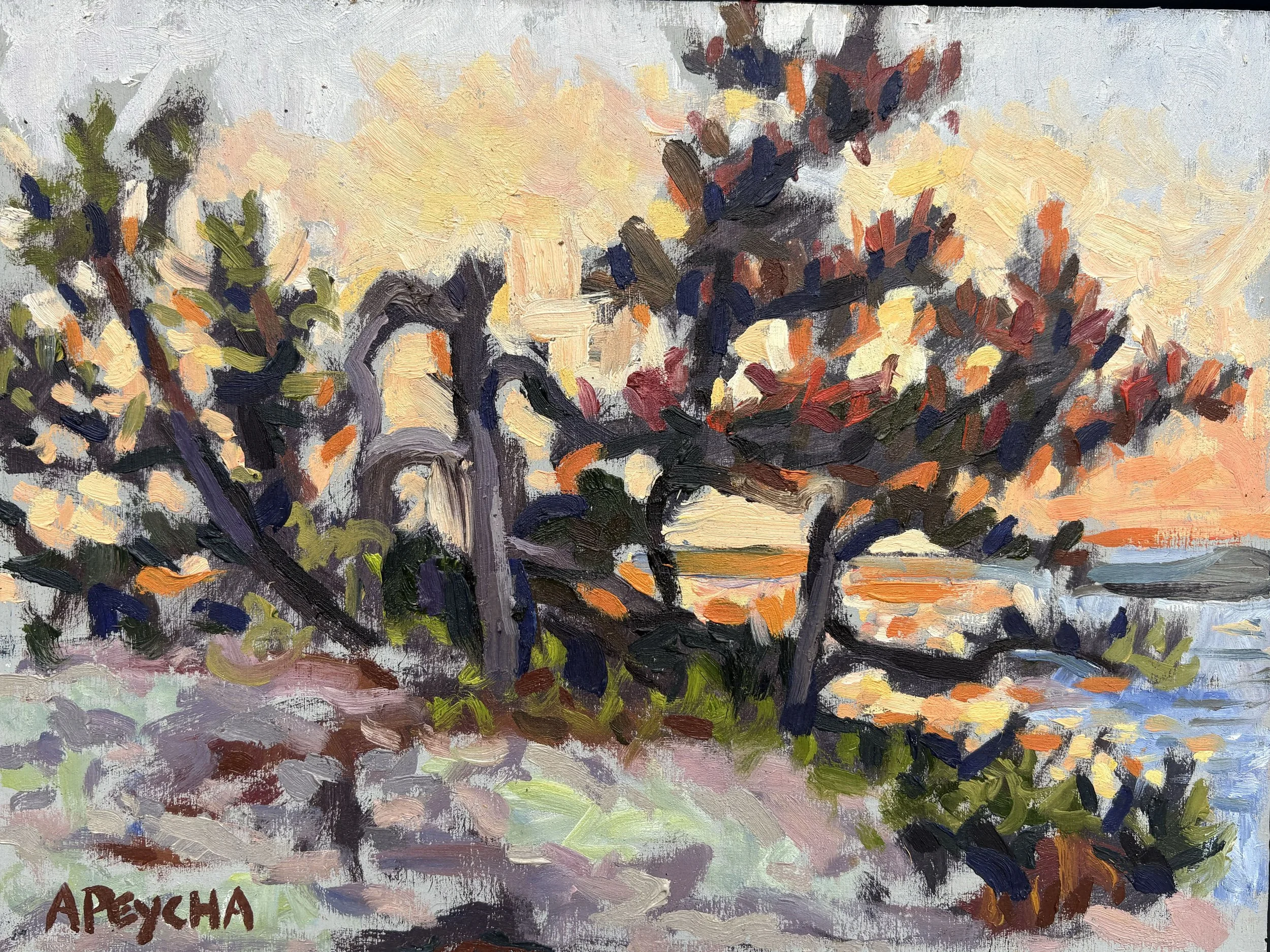 Sunset Gnarly Pine
Oil on Board
9"x12"
$650.00