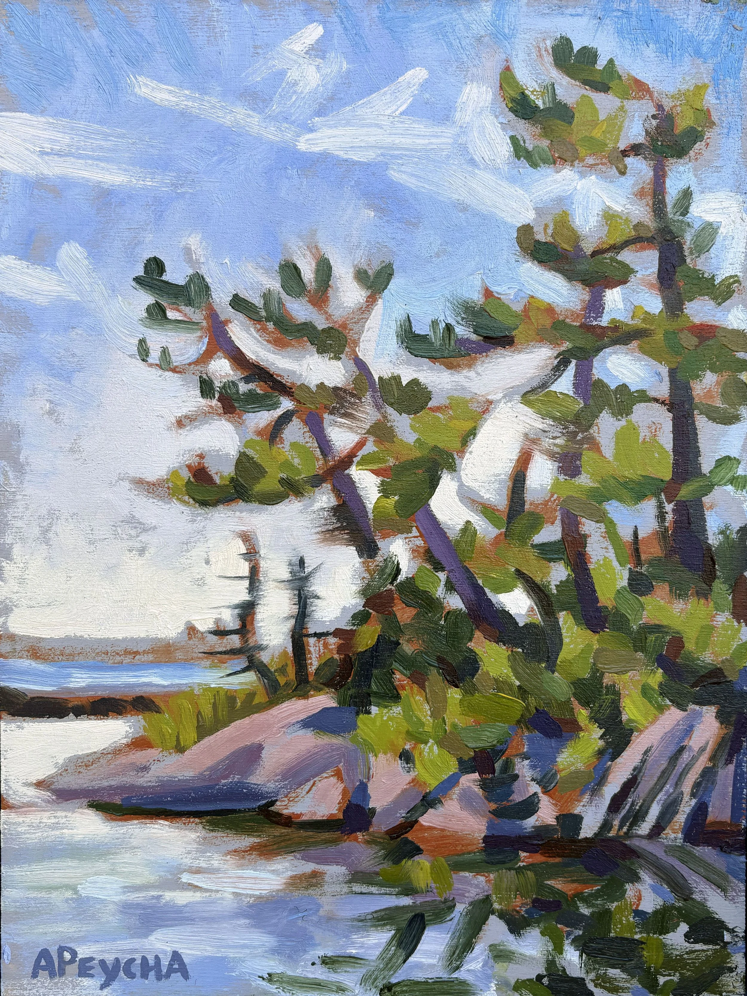 Looking South
Oil on Board
12"x9"
$650.00