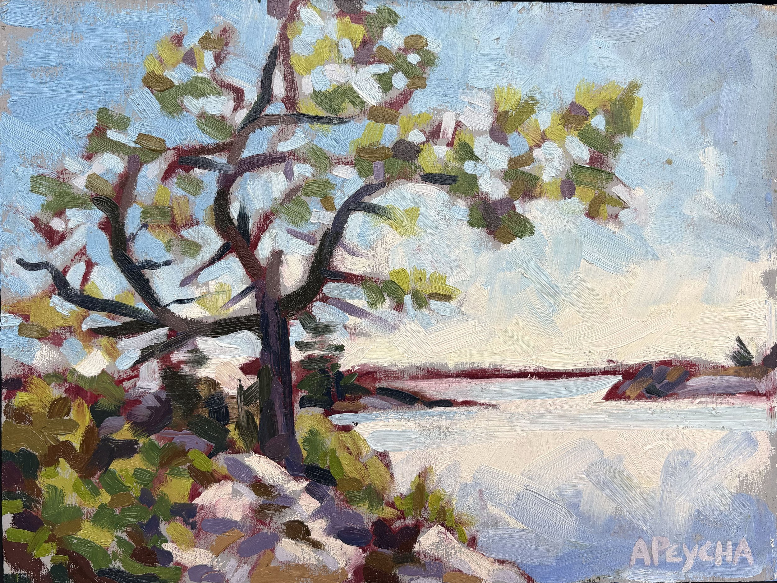 Green Island Pine
Oil on Board
9"x12"
$650.00