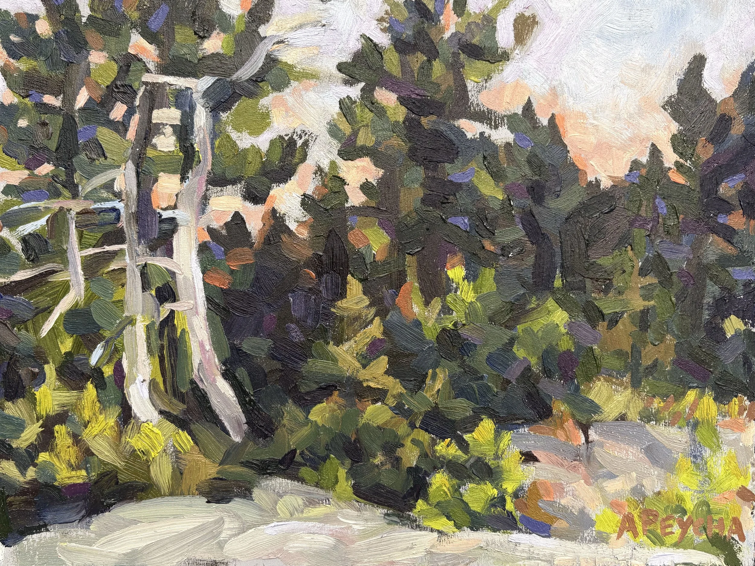 Gaspar Island Pines
Oil on Board
12"x9"
$650.00