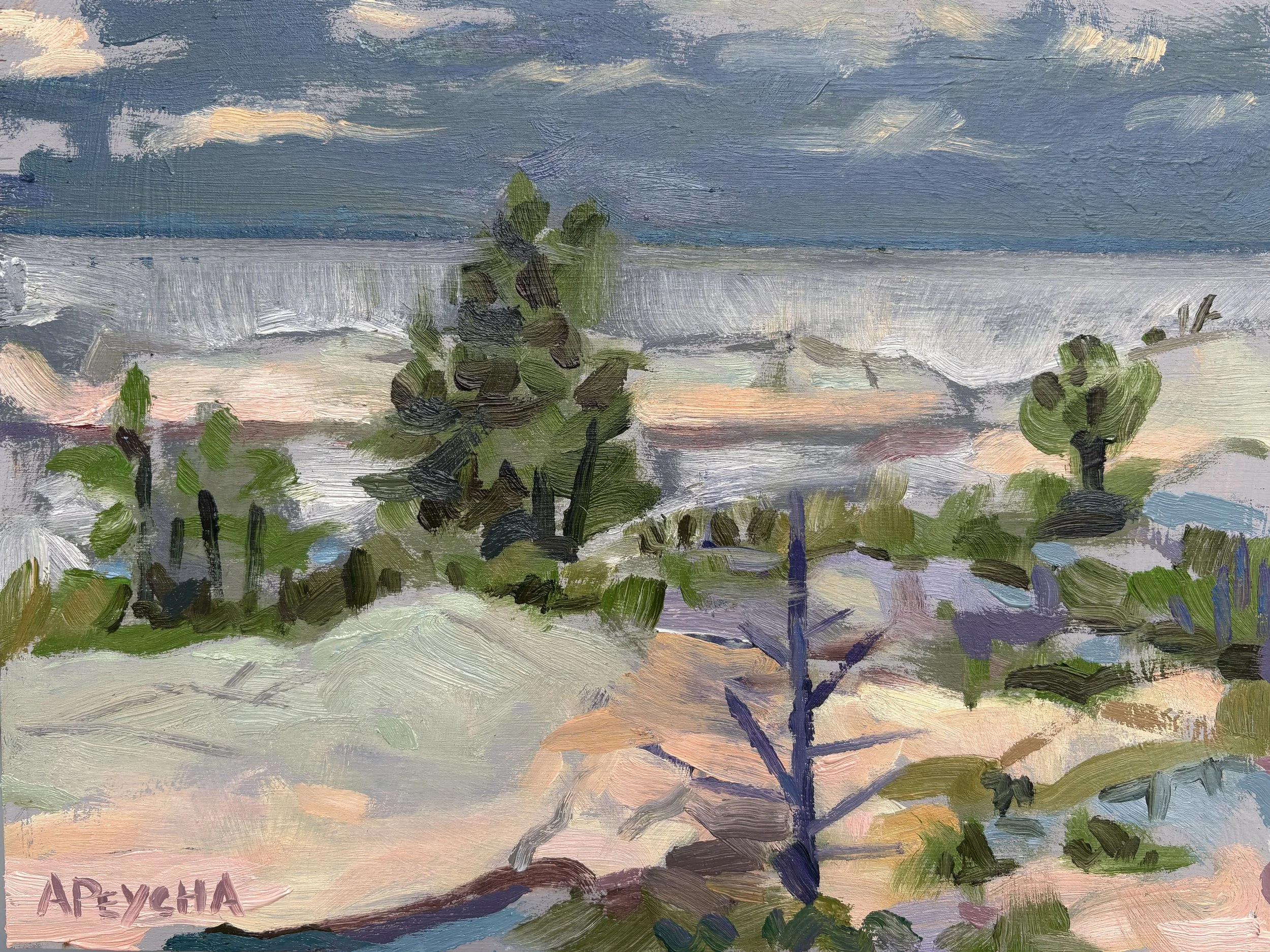 Apporaching Storm
Oil on Board
9"x12"
$650.00