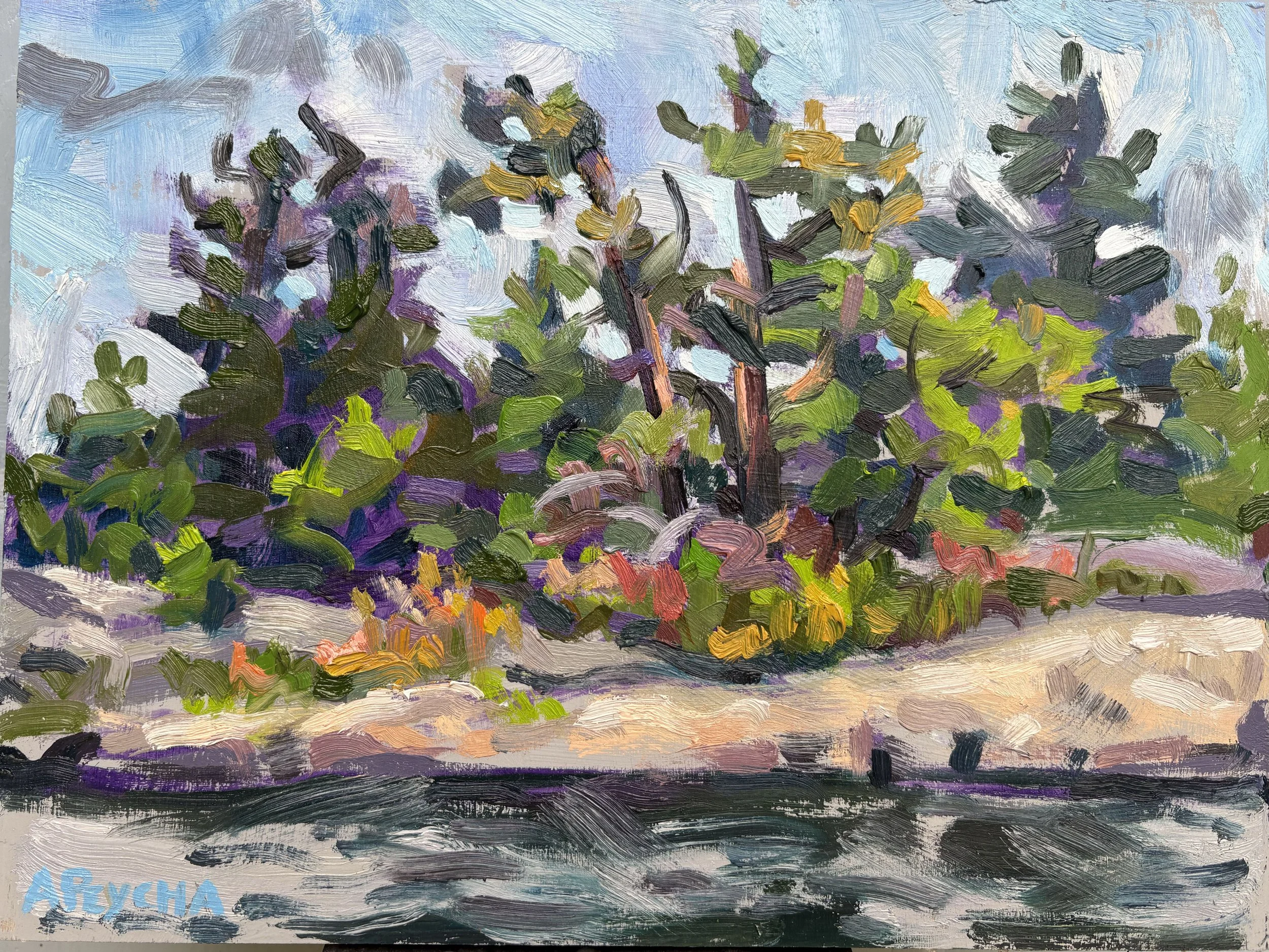 Snake Island Sunset Pines
Oil on Board
9"x12"
$650.00