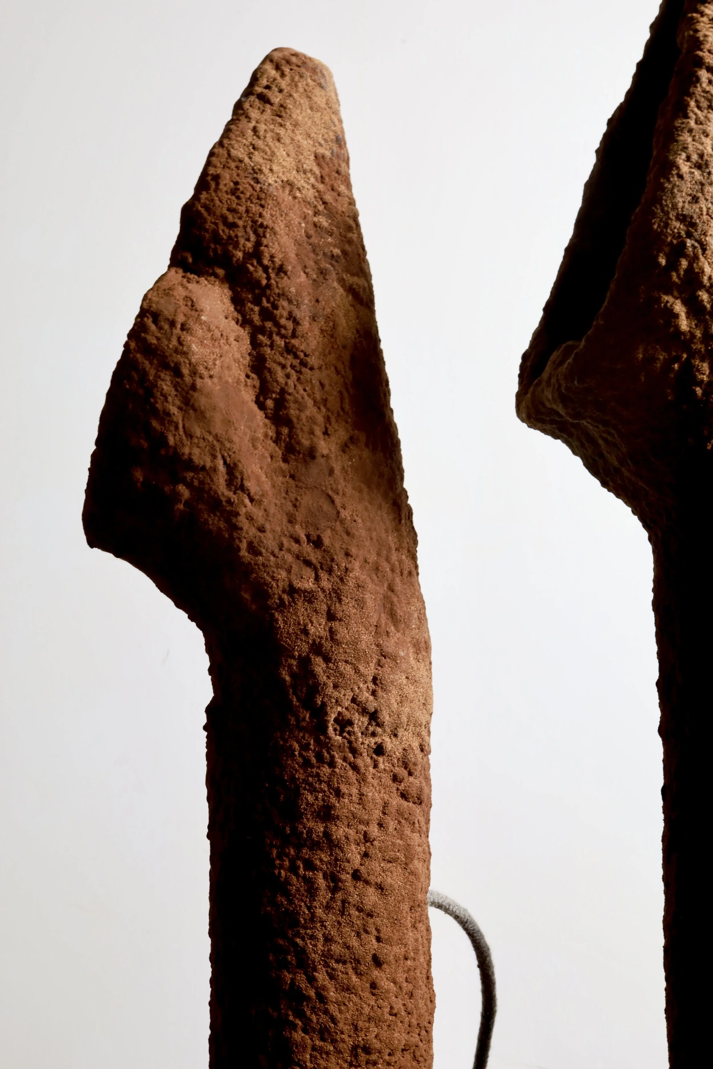 One-of-a-kind | Plane Tree Bark